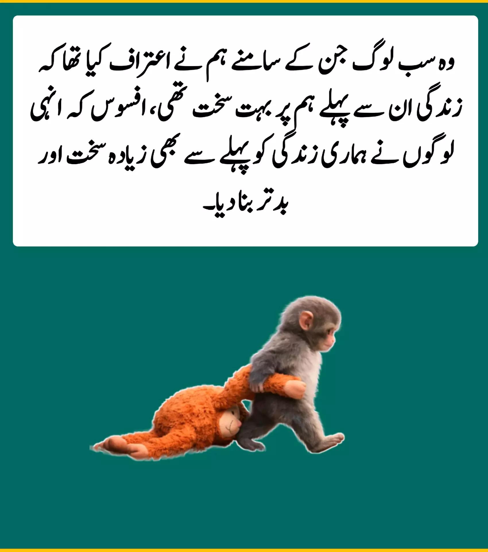@Ghazi khail