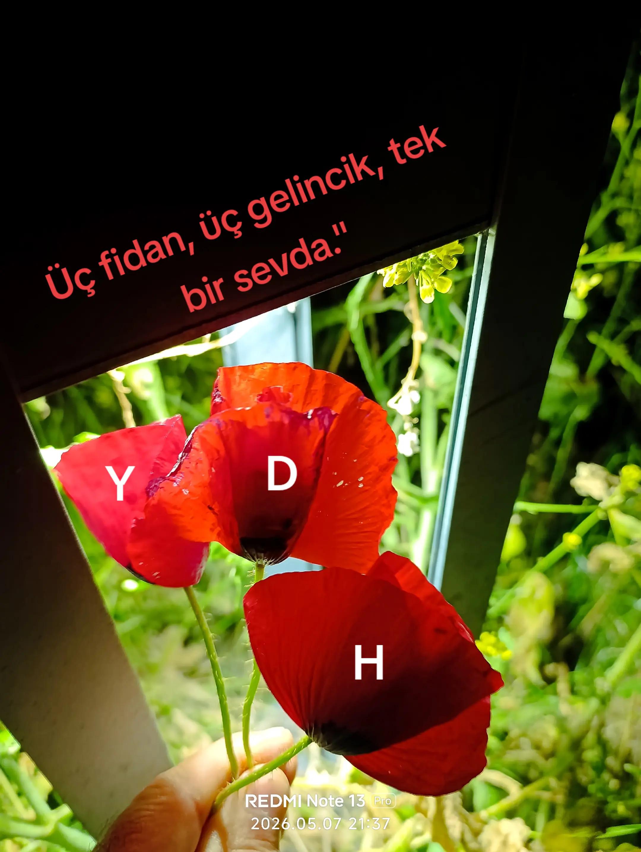 @Orhan _KURULDU