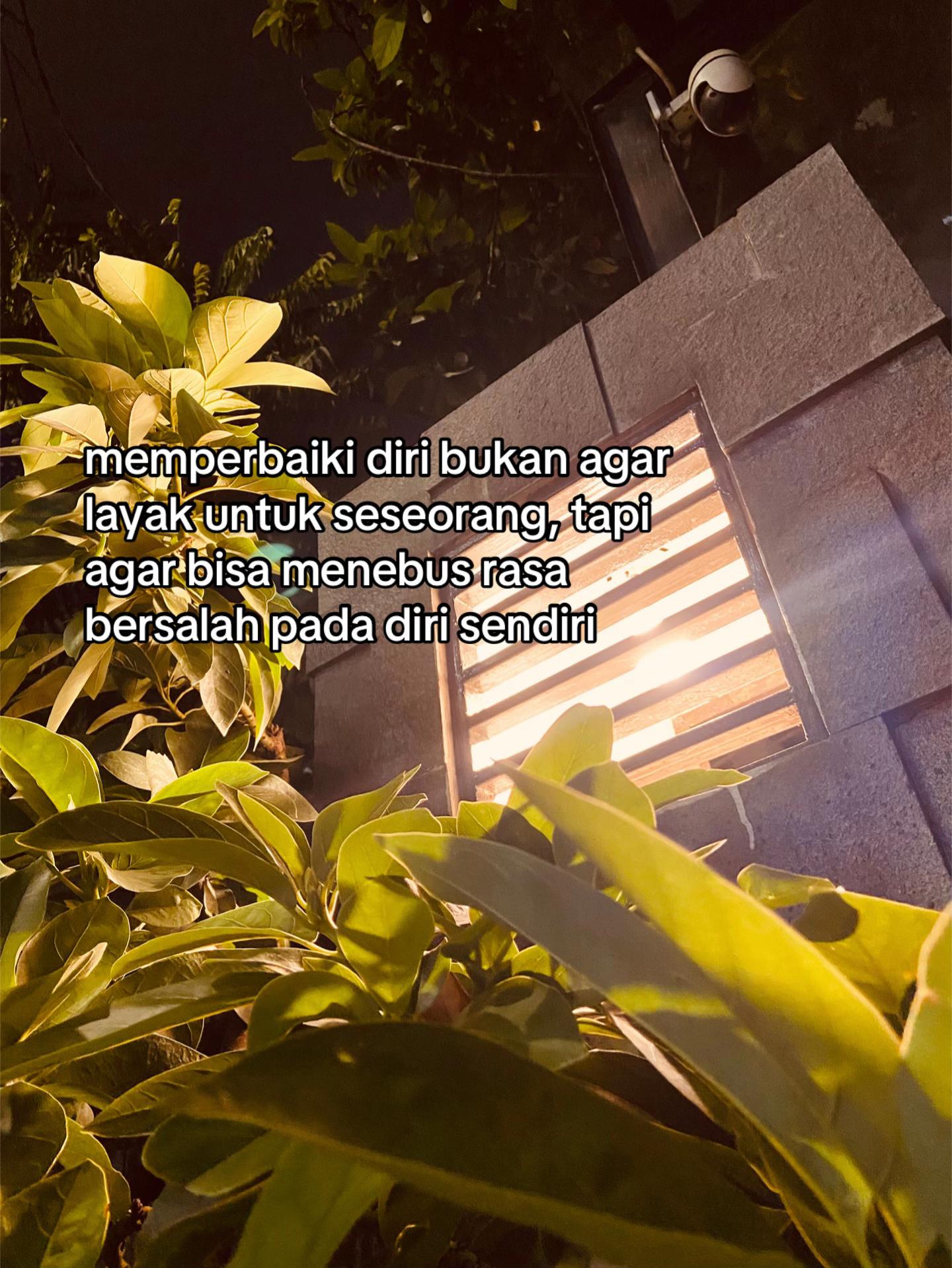 @Radit.saf💤