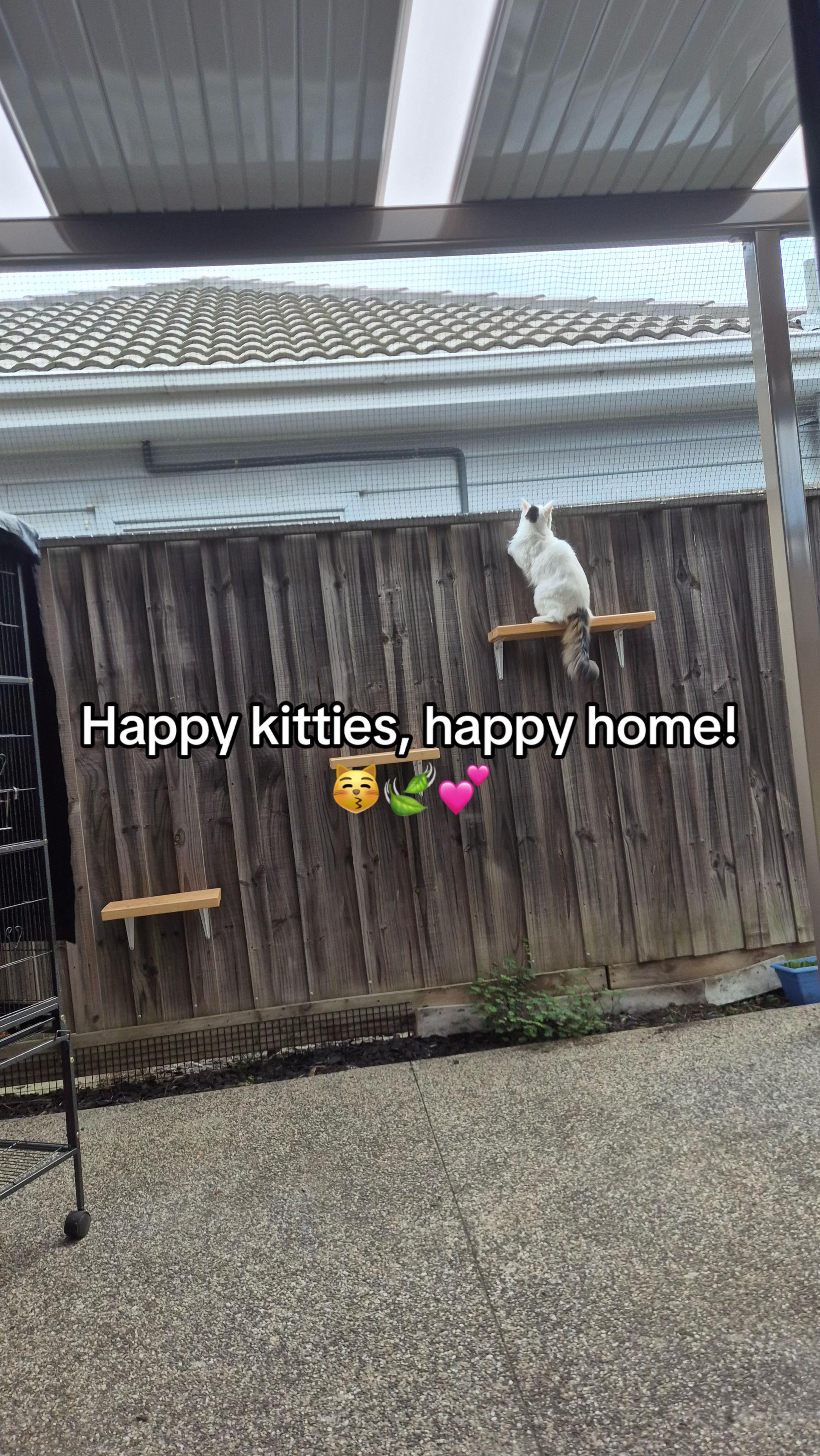 @Backyard Catio Builder
