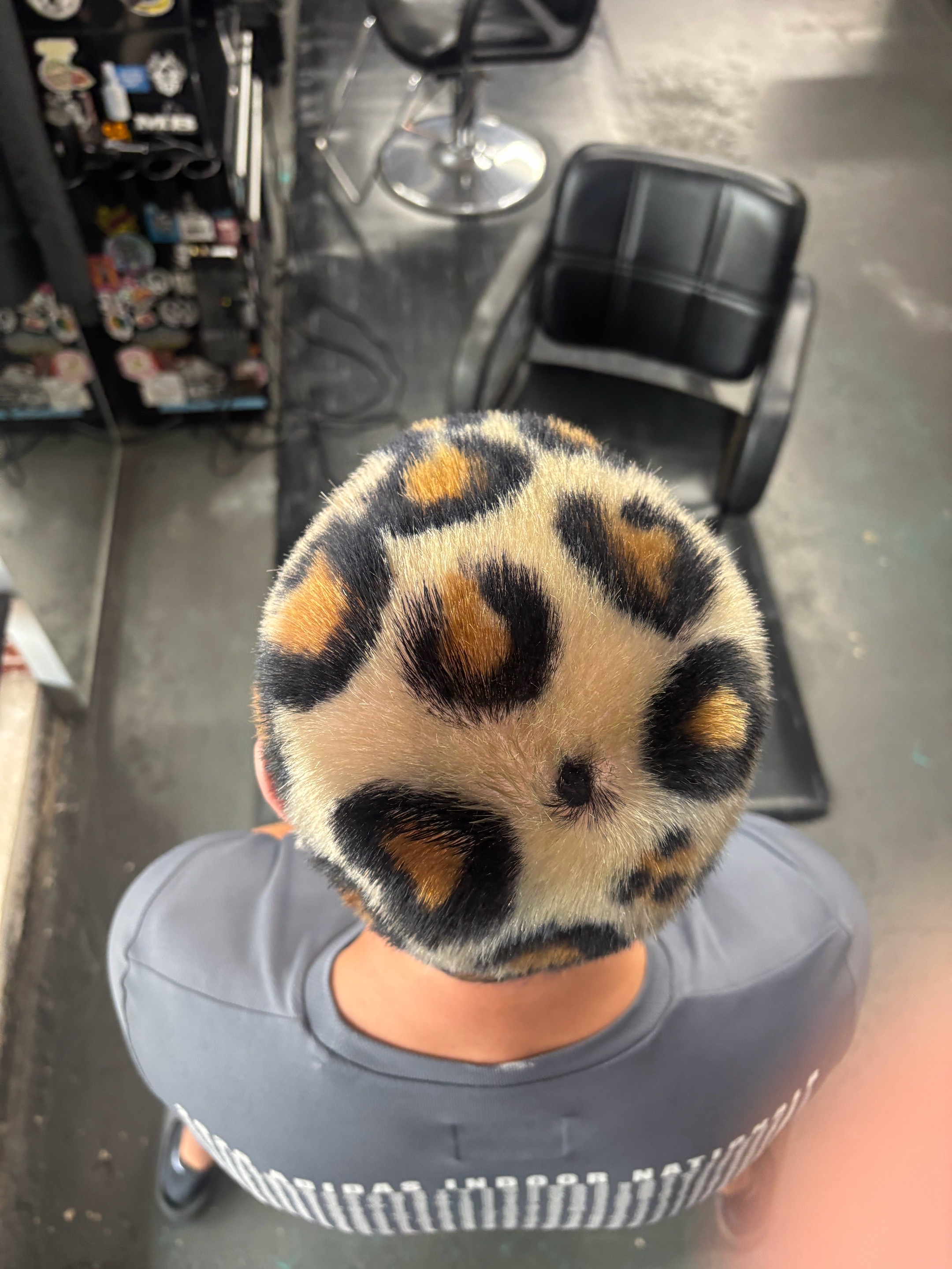 @Velvet Monkey Salons