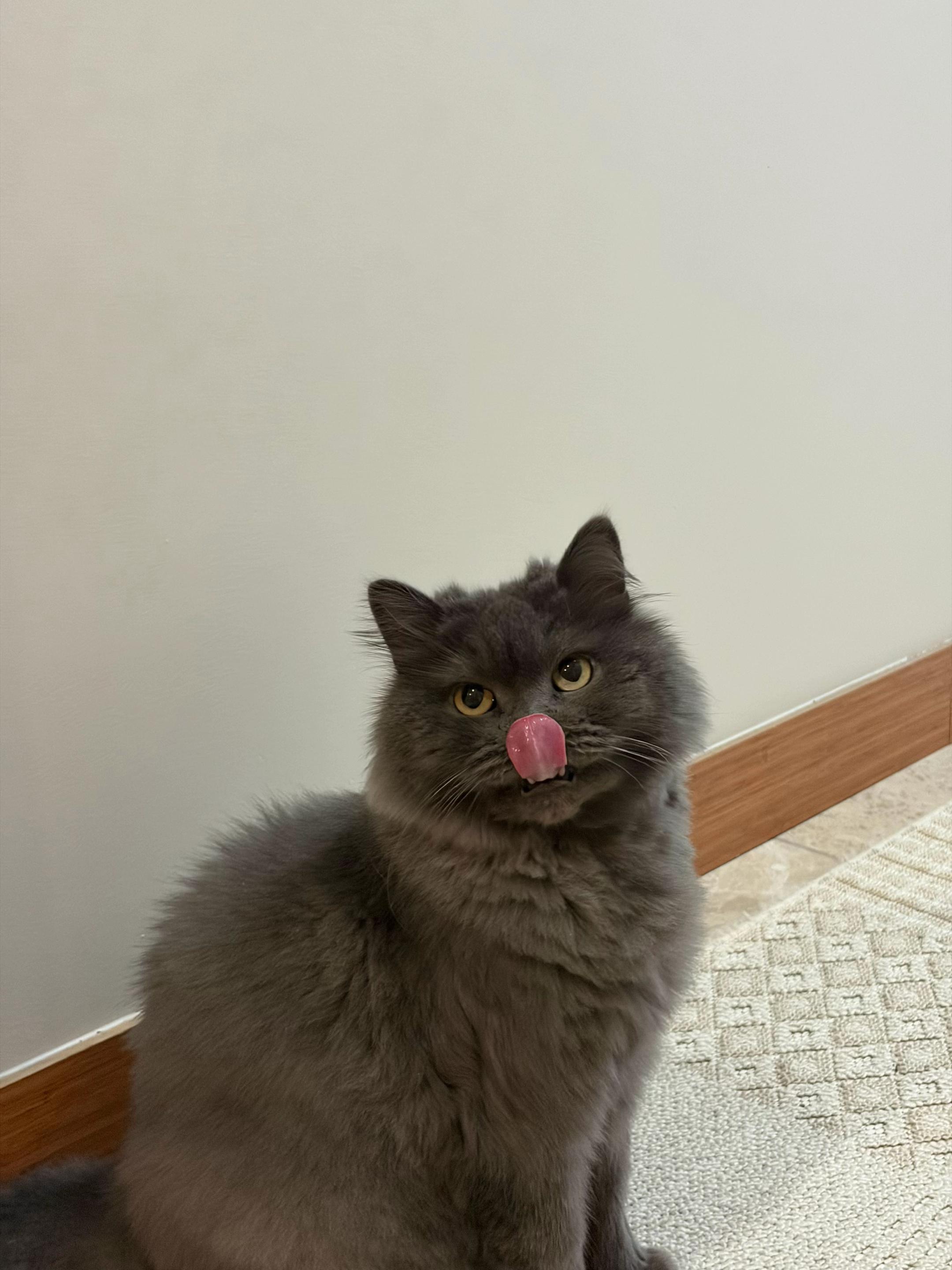 @mâsiva🍉