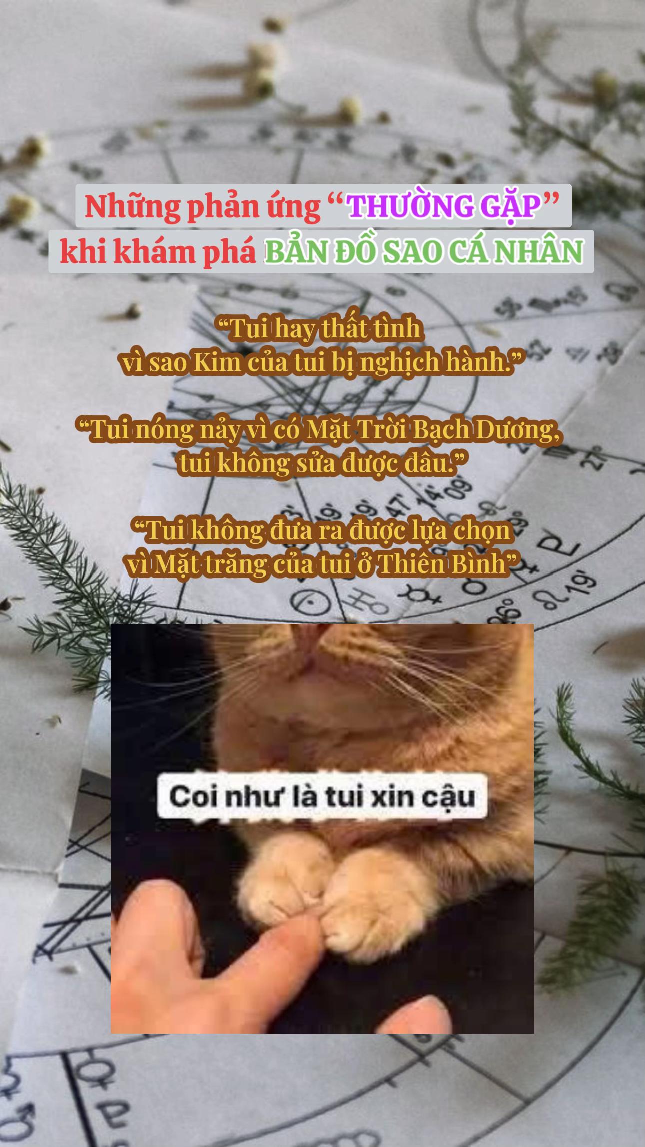 @Phù Thuỷ Moè🧝♀️