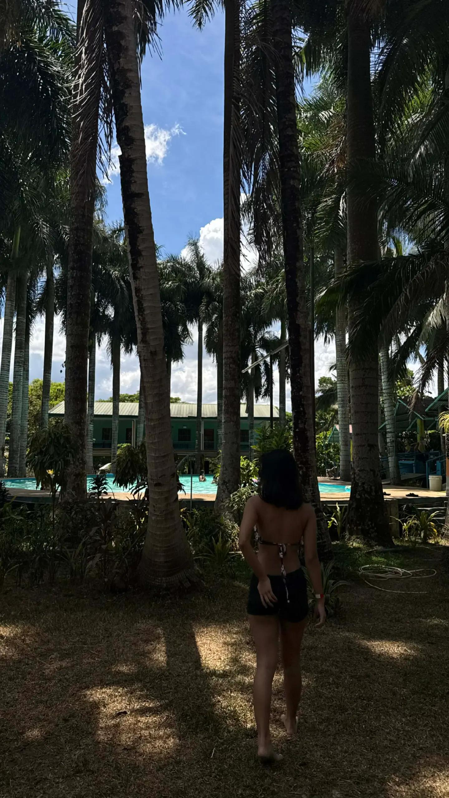 @dumpniwis