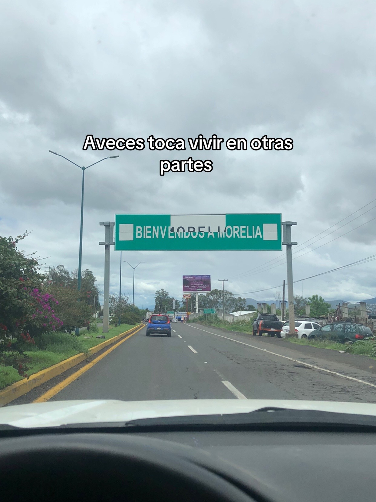 @angel