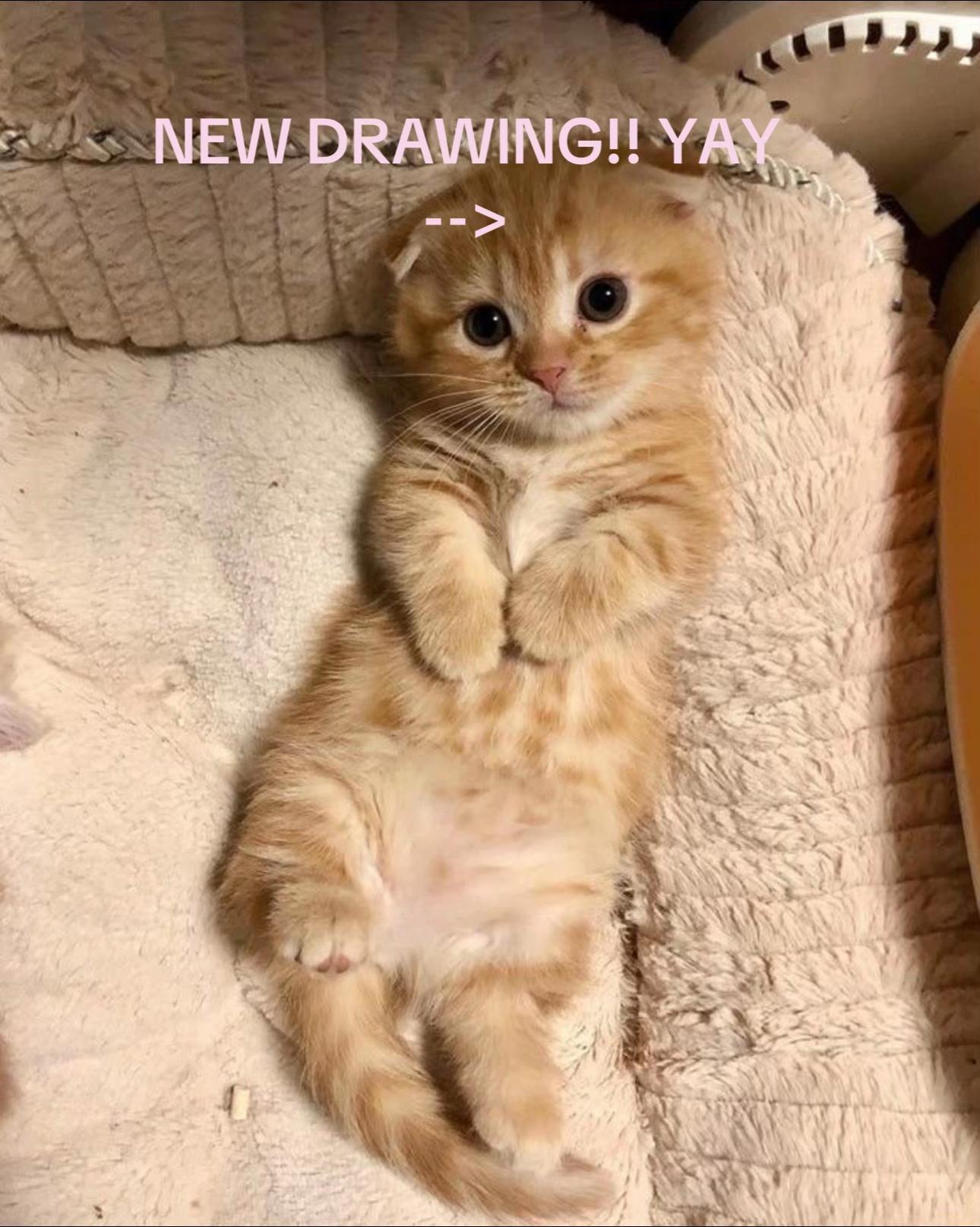 @˖ ֹ੭୧ 𝑨𝒍𝒆𝒙 ⊹ ࣪ ⑅