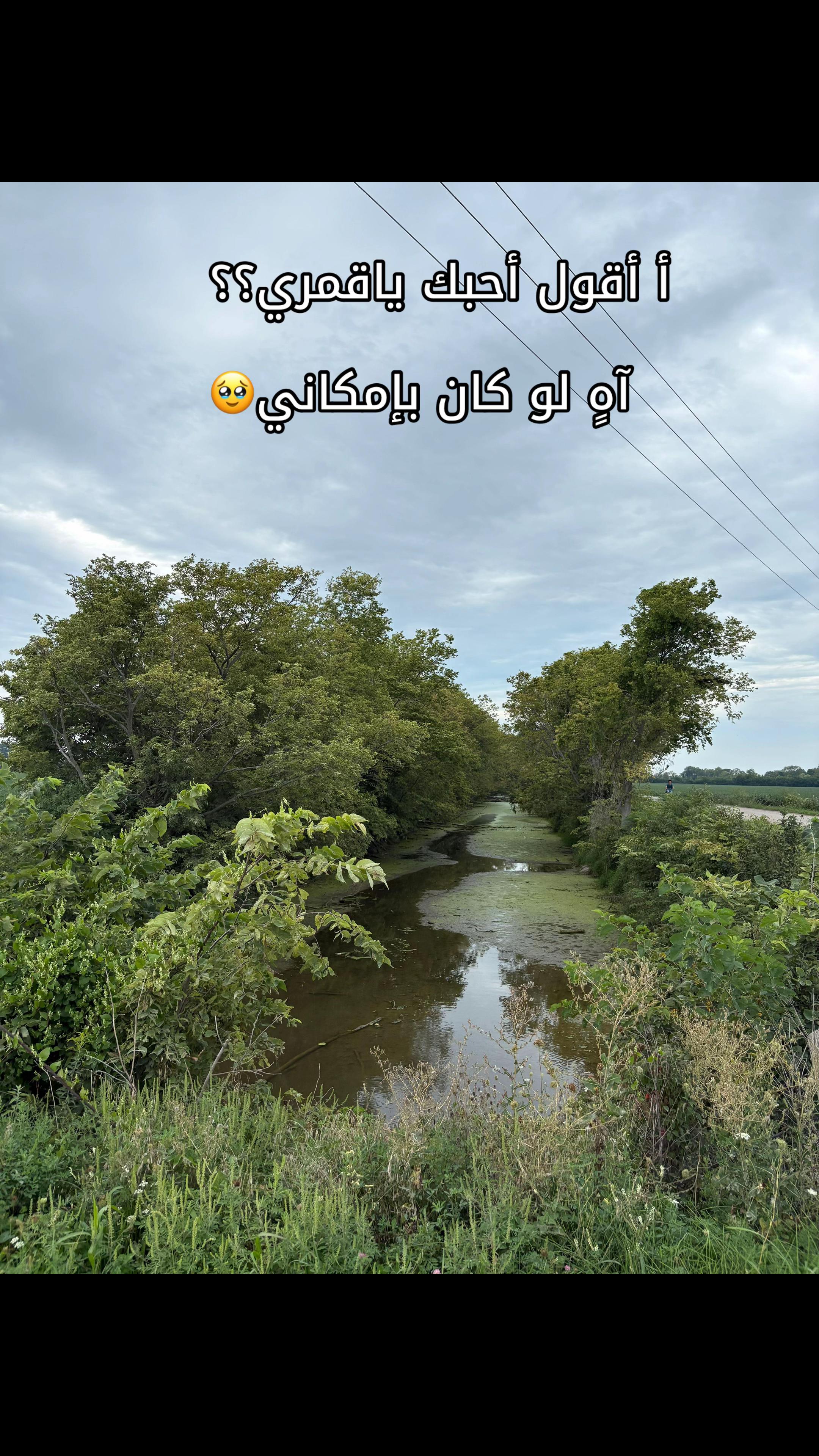 @Vilda makhoul