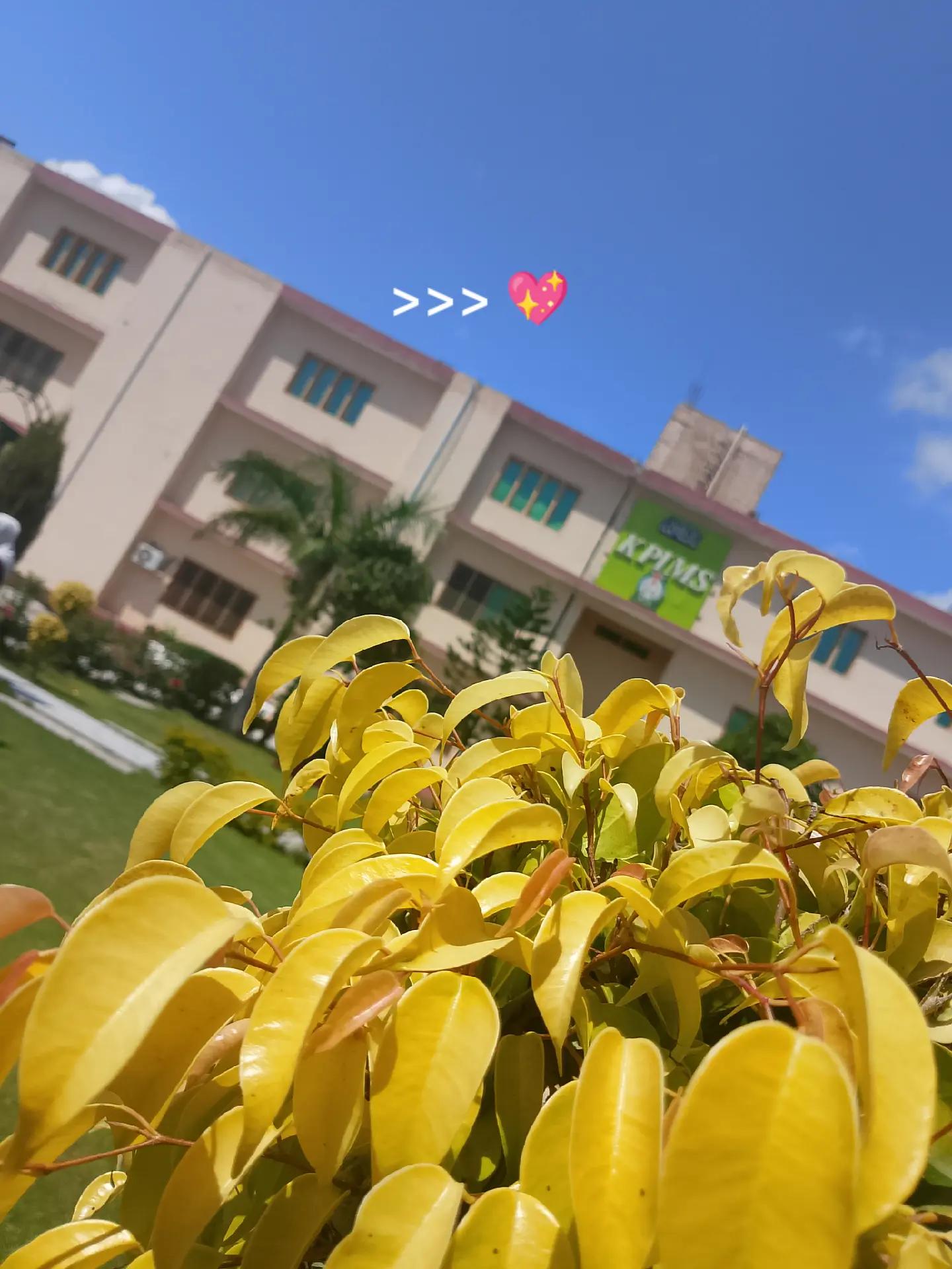 @ₘₑdᵢCₐₗ ₛₜᵤdₑₙₜ 🩺🎓🫀