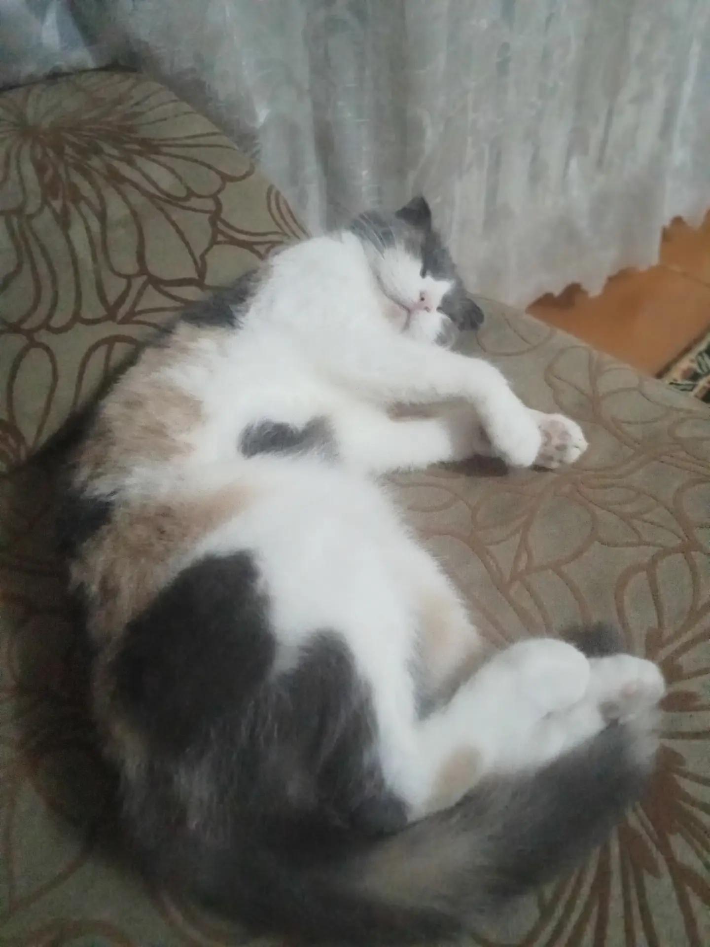 @Мангл
