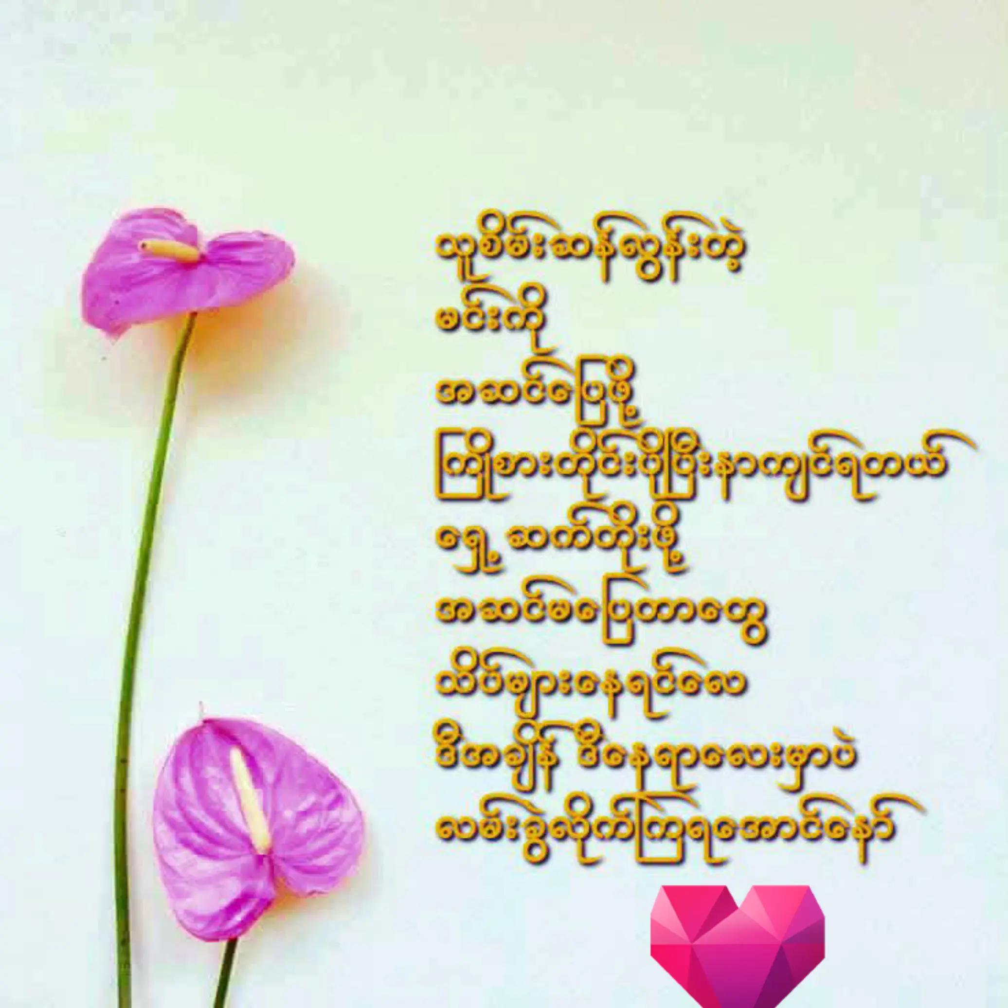 @❤️MOHDကိုလှဝင်း♥️