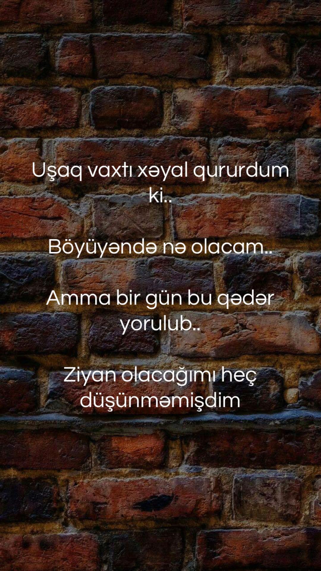 @musiqi_qidasi