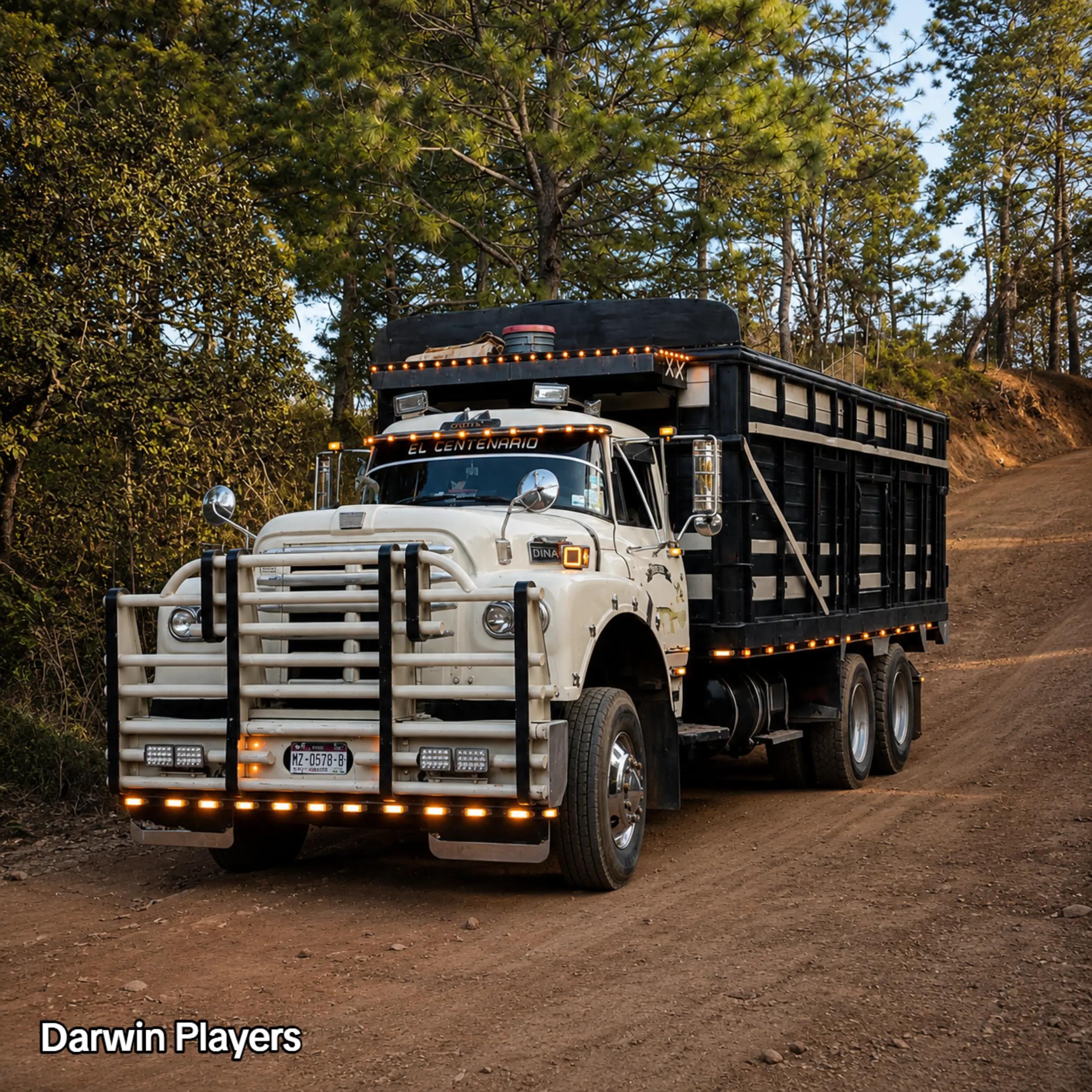@Darwin_Players