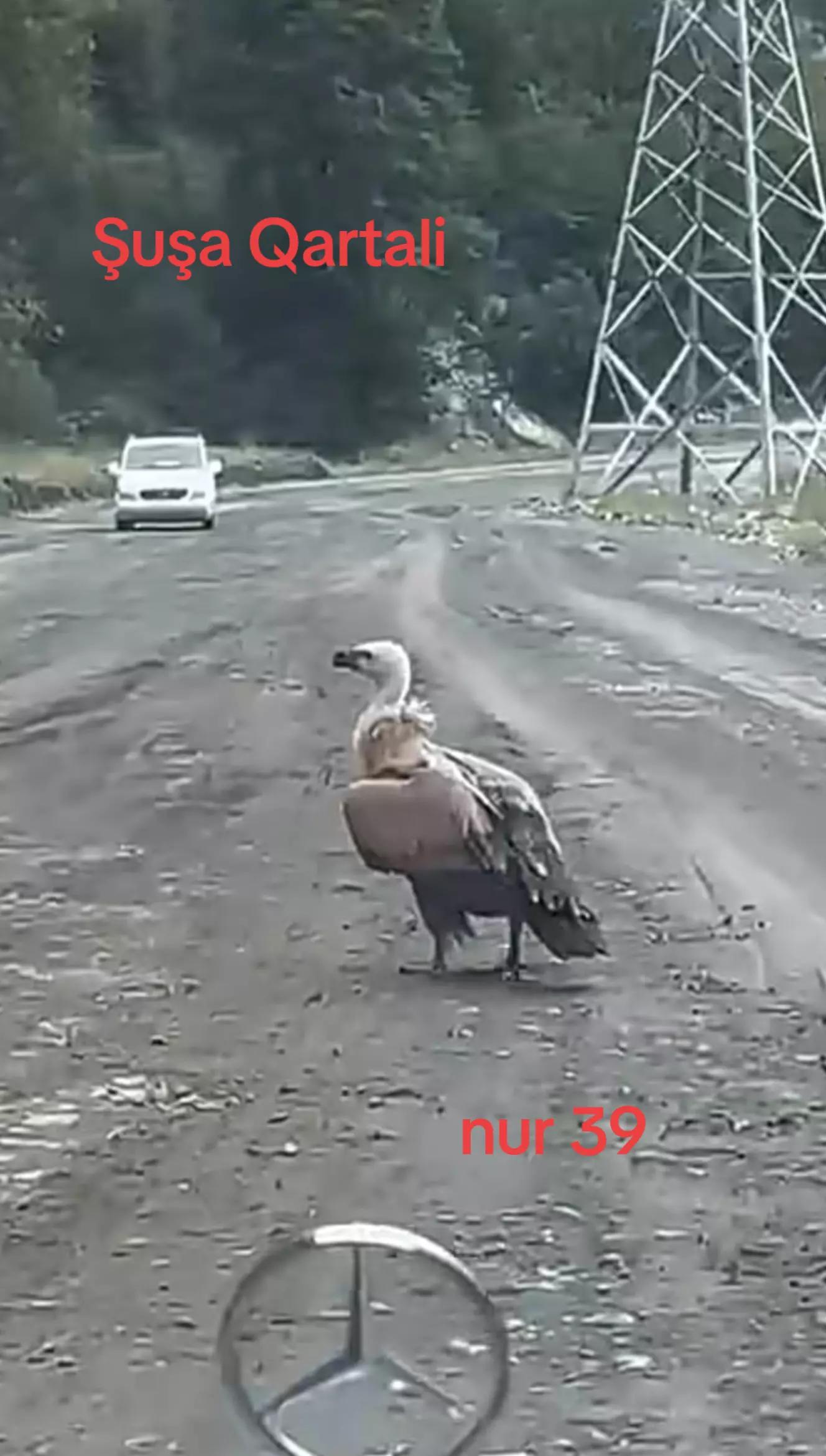 @Qubadlı qəhrəmanlar diyarı