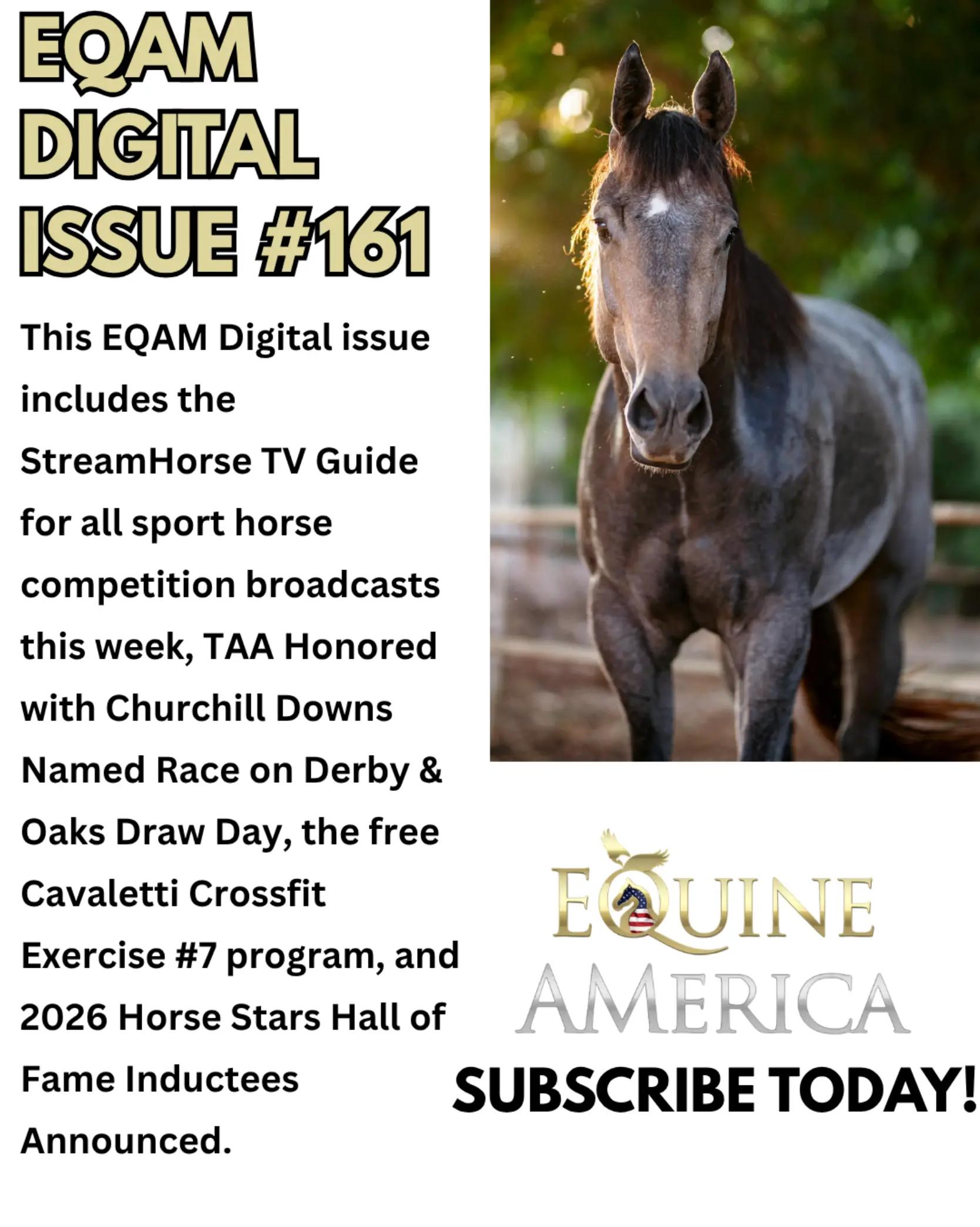 @streamhorse