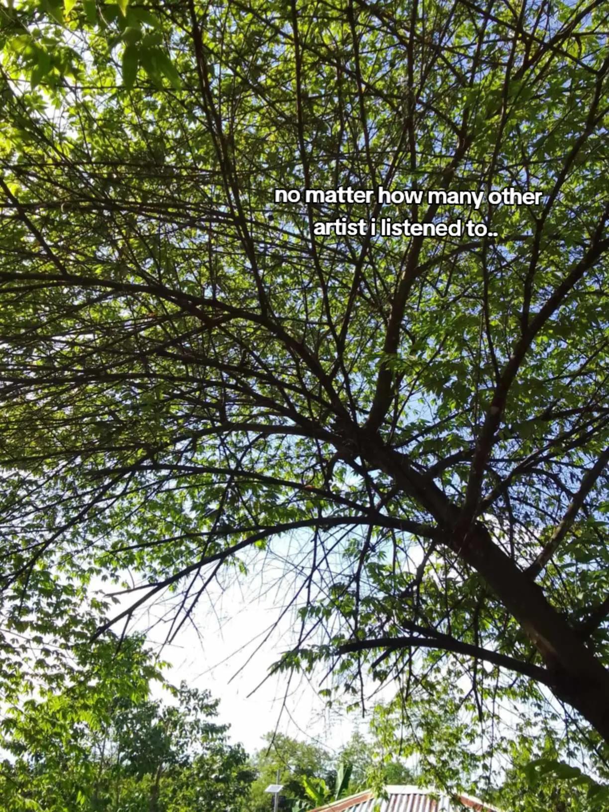 @જ⁀➴&deg;⋆ 𝔯𝔢𝔫𝔷𝔬 | ⸆⸉ 𝄞