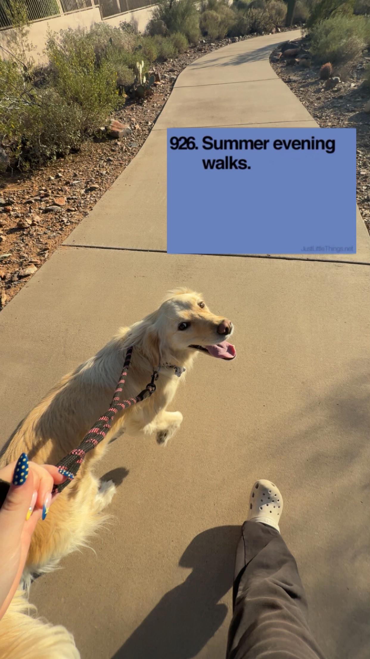 @🌇🎤💕☀️