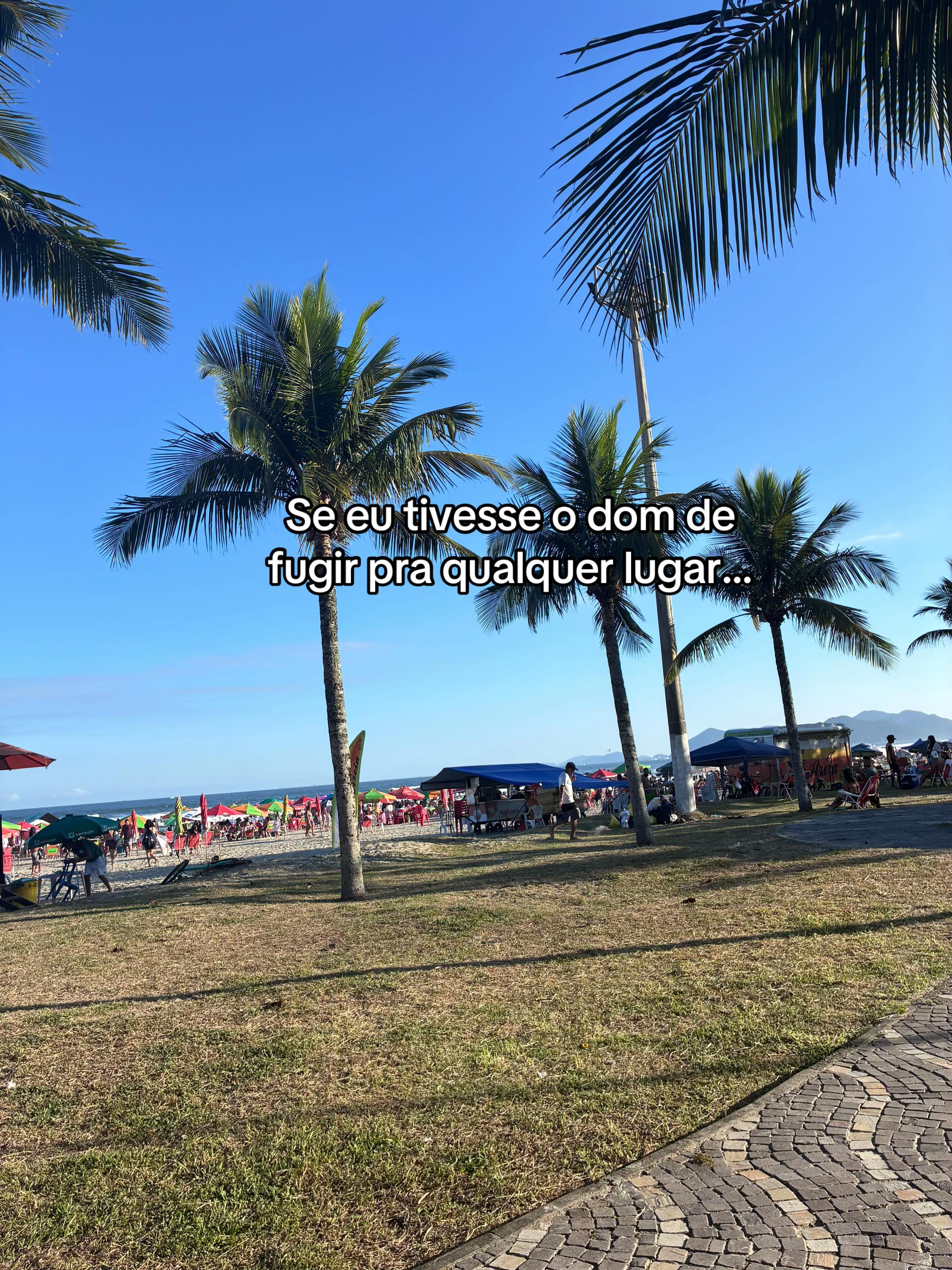 @Alice Valença