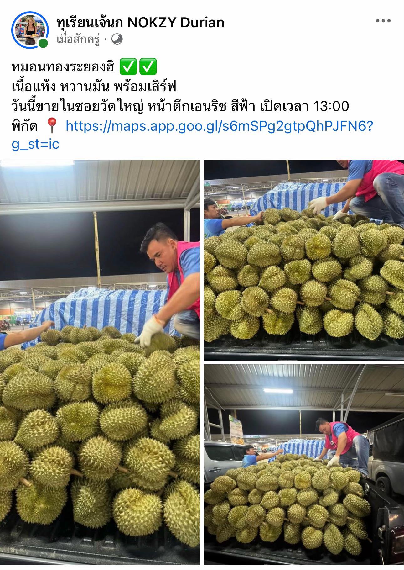 @นก จะไม่นก