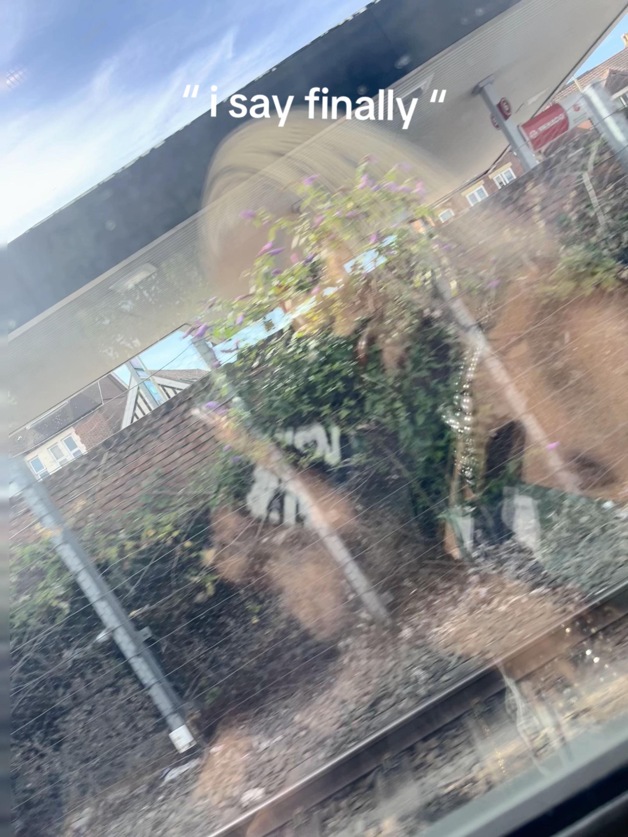 @Stephanie