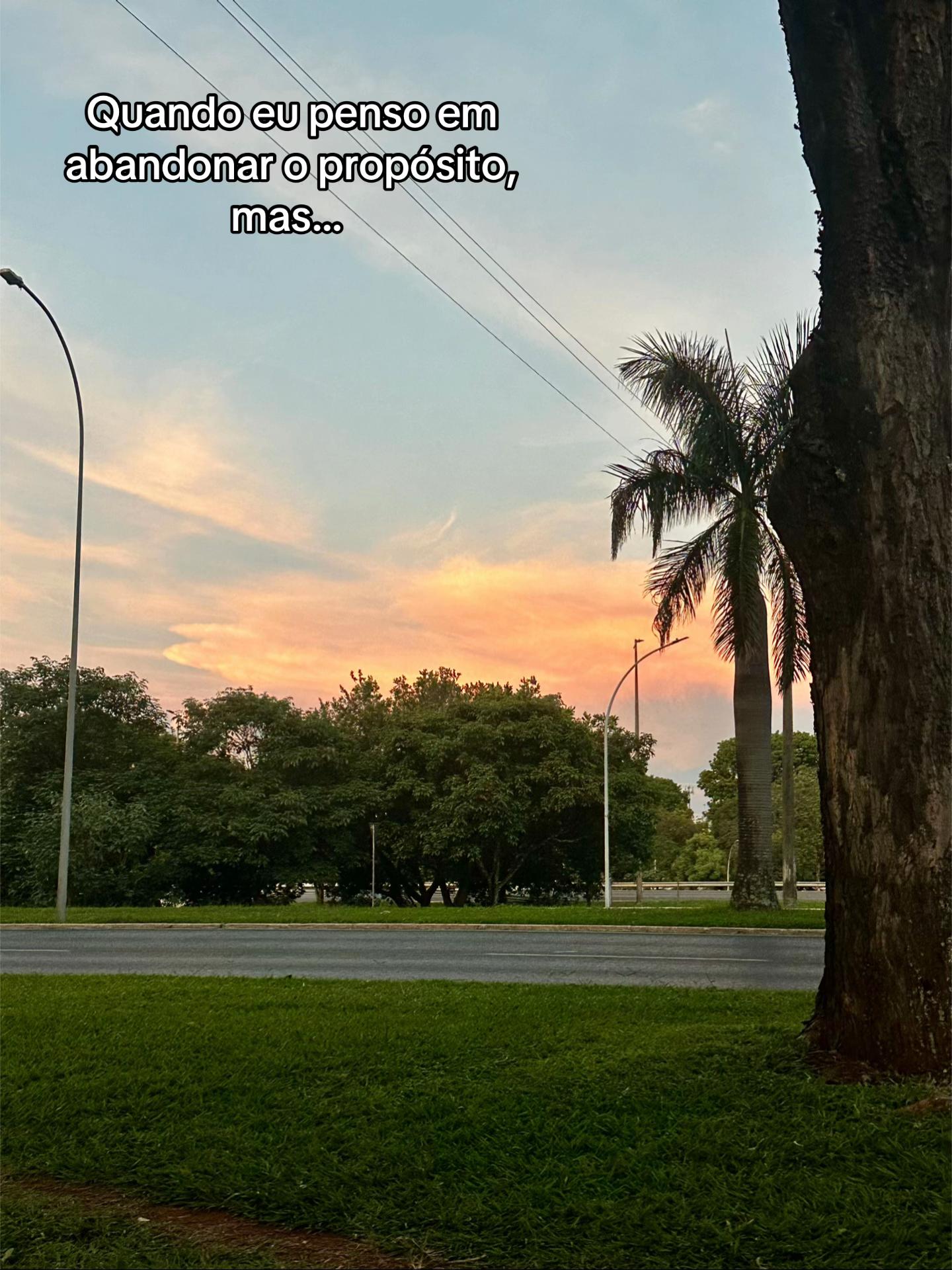 @Maria Clara Andrade