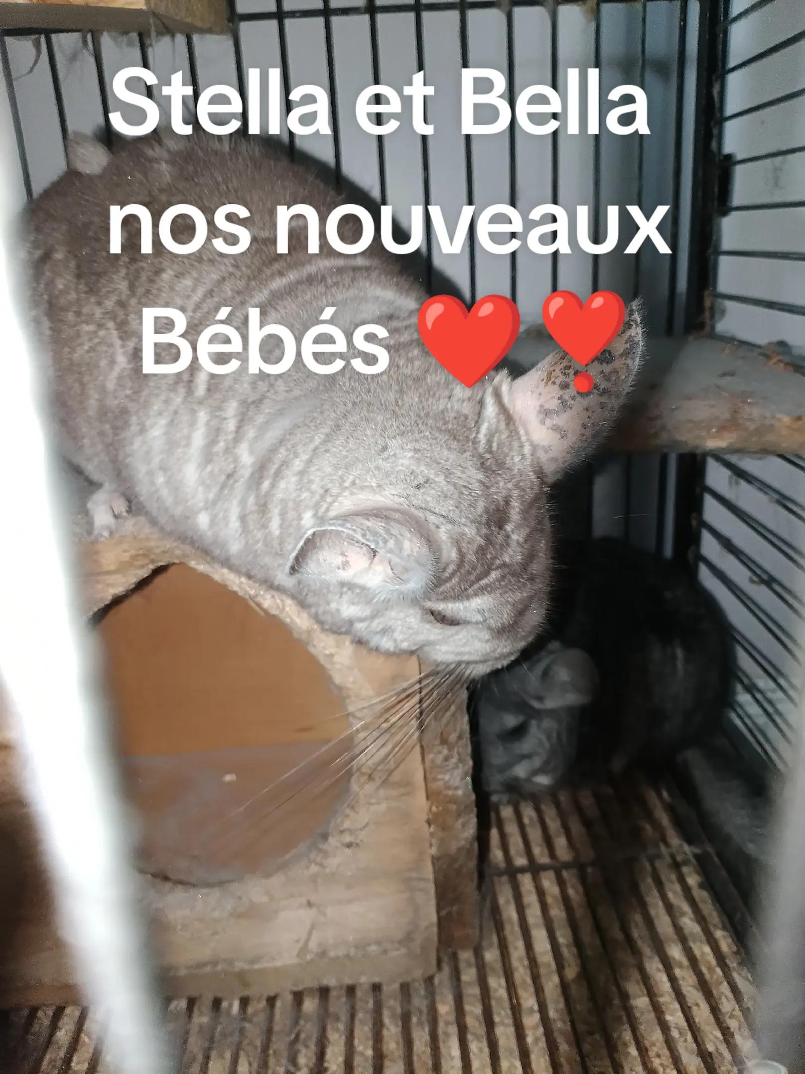 @Amelie Isabell