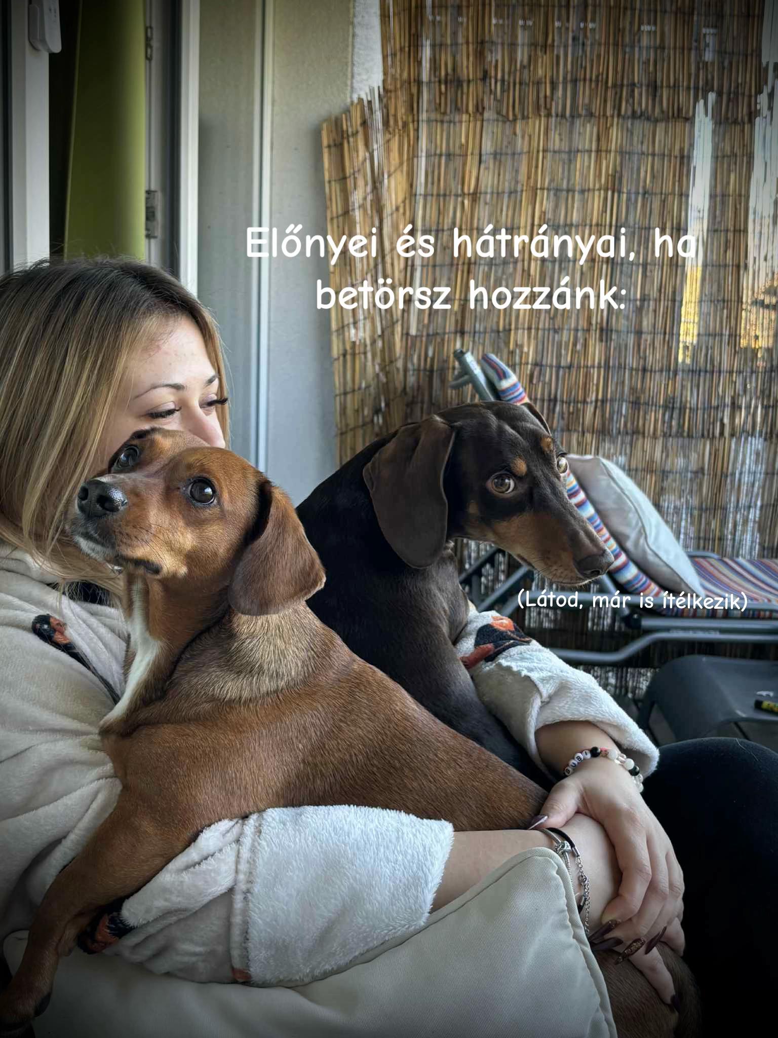 @Fanni Görcsi
