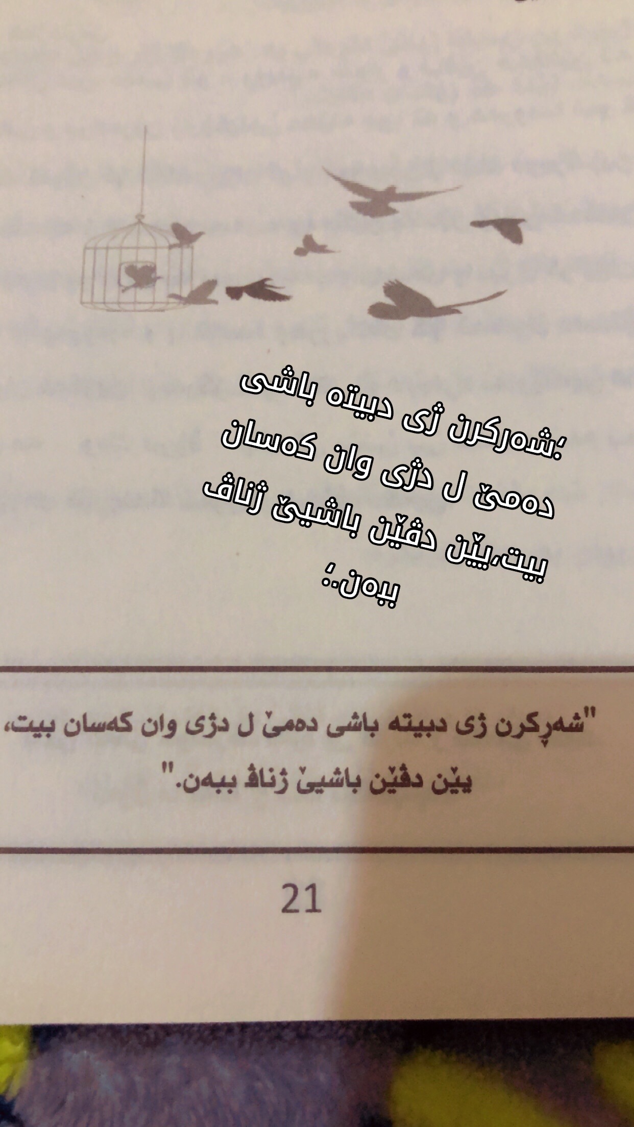@N.S