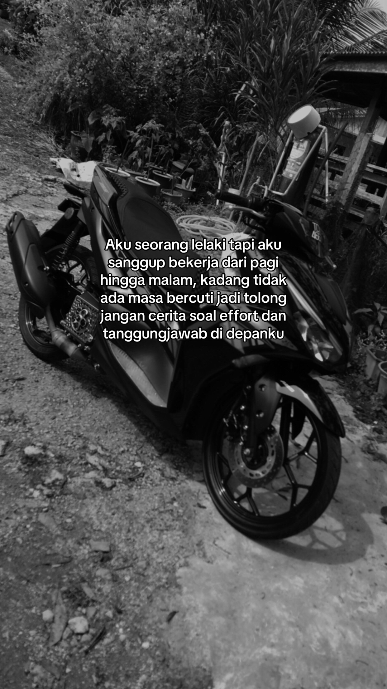 @S ⚡ N