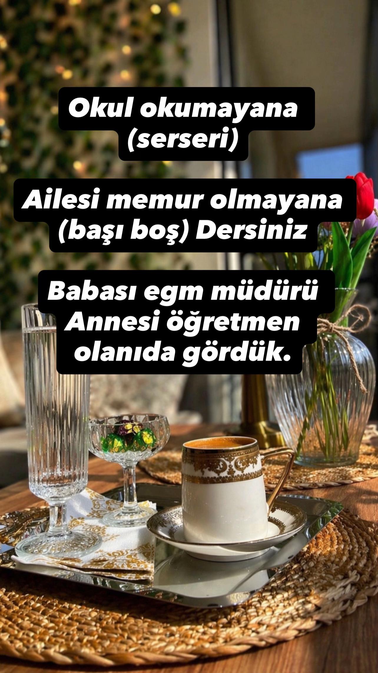 @elif_Aİ_