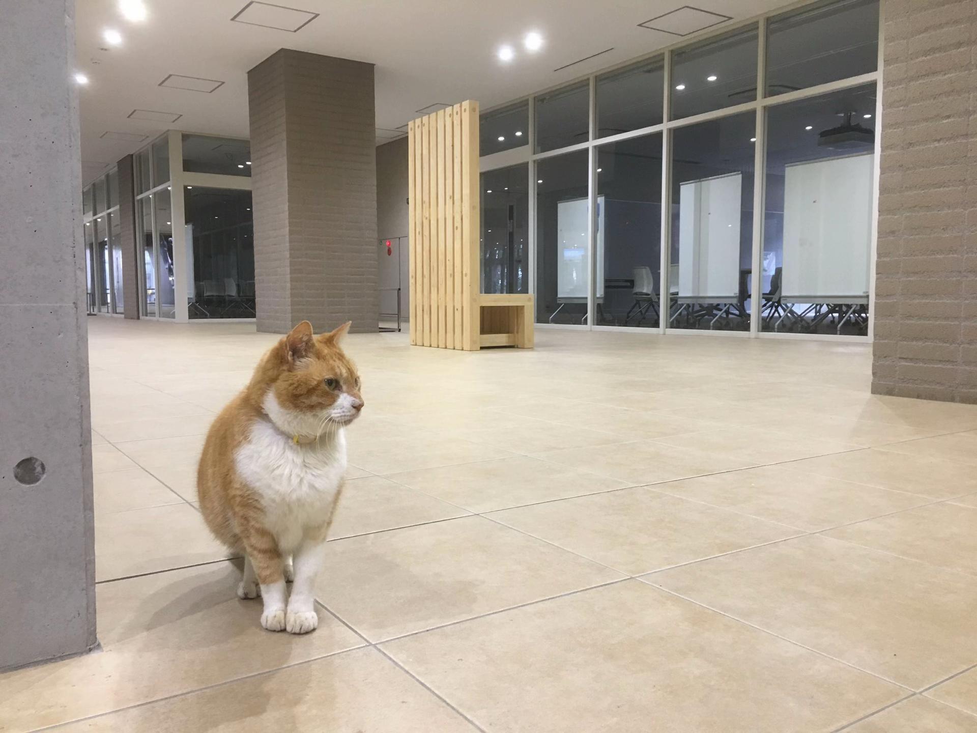 @れい