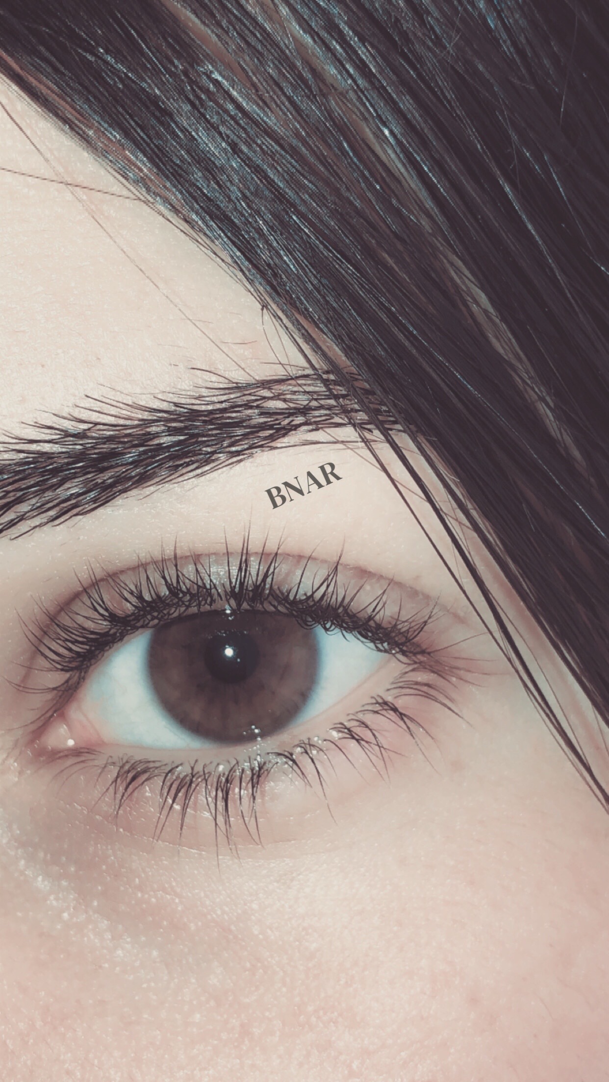 @𝓑𝓝𝓐𝓡🦋