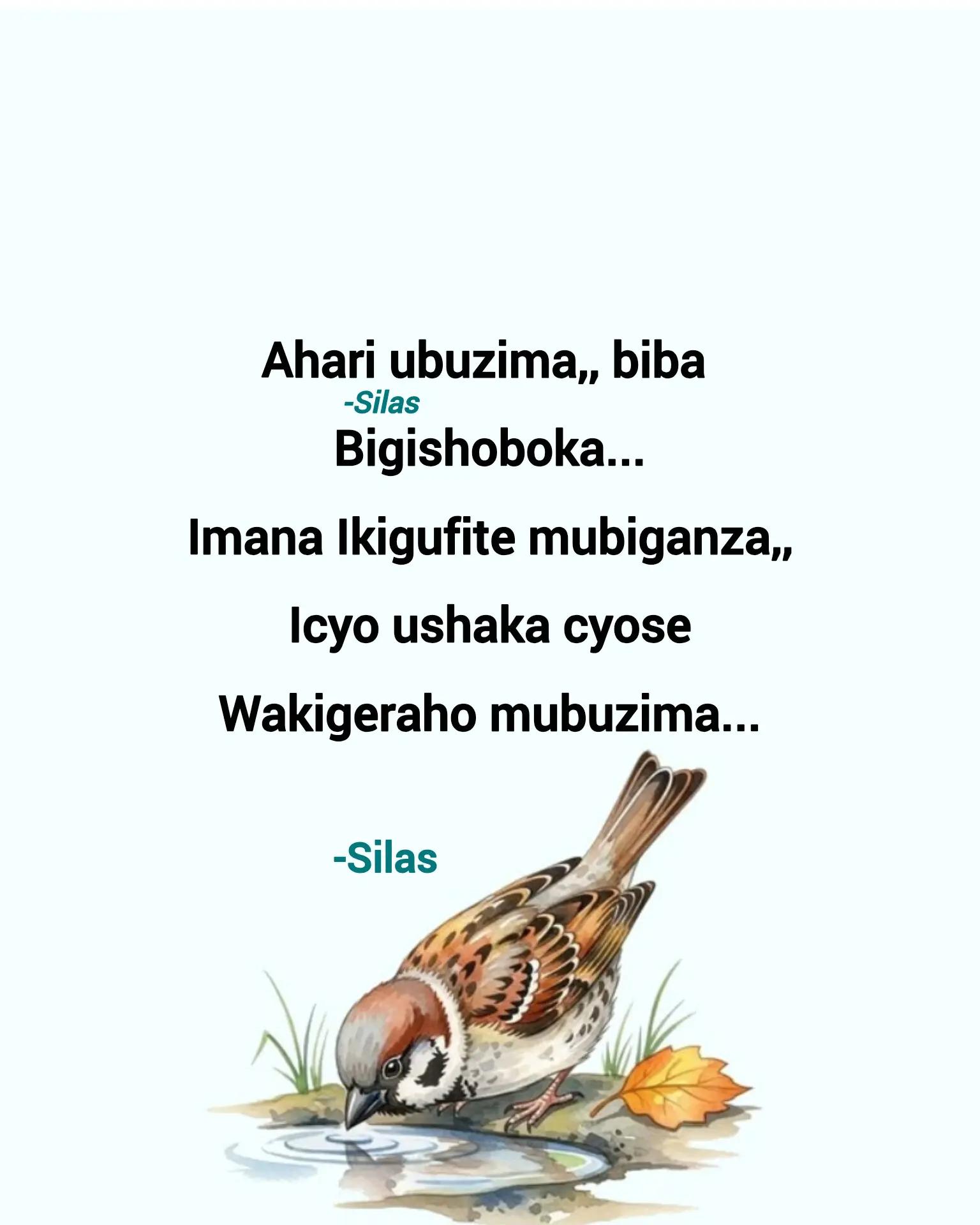 @Silas Nizeyimana
