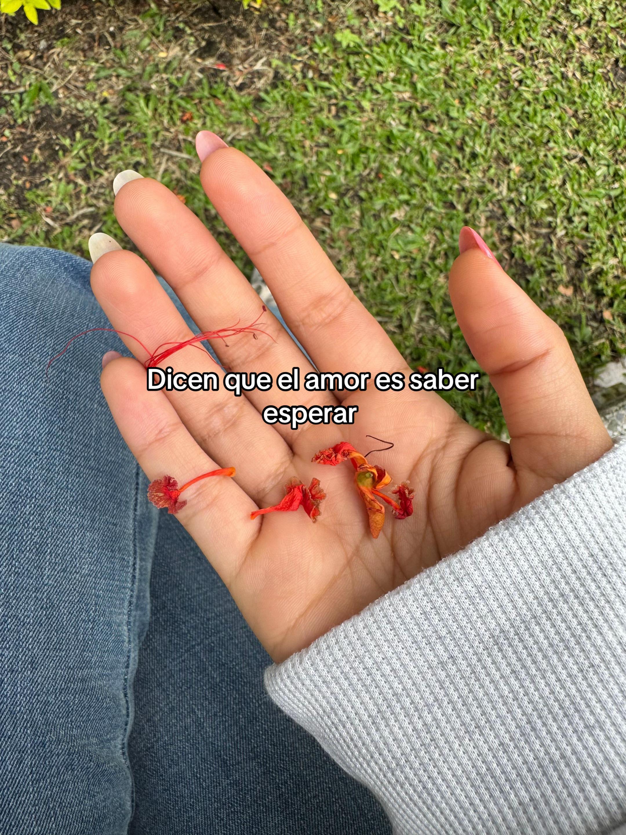 @Mari Fer 🐞