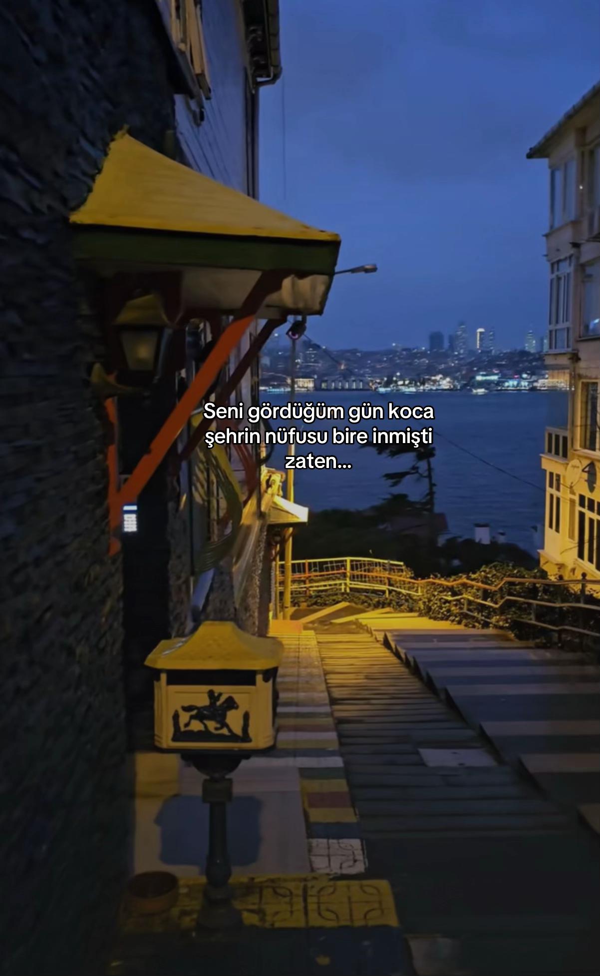 @seviyorgibiydin24