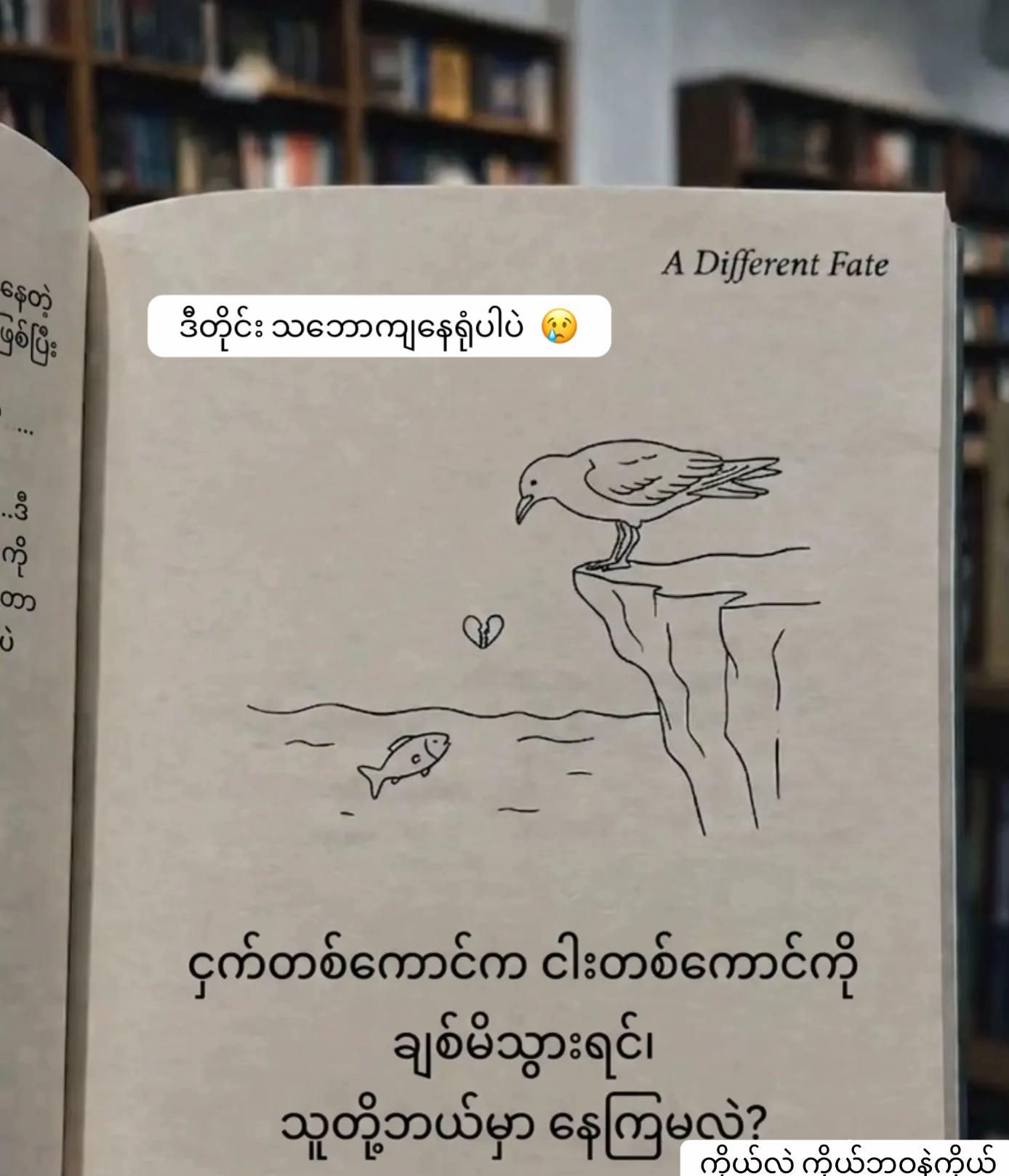 @🍀 Khun Mai 🍀 (Khun Mai Linn)
