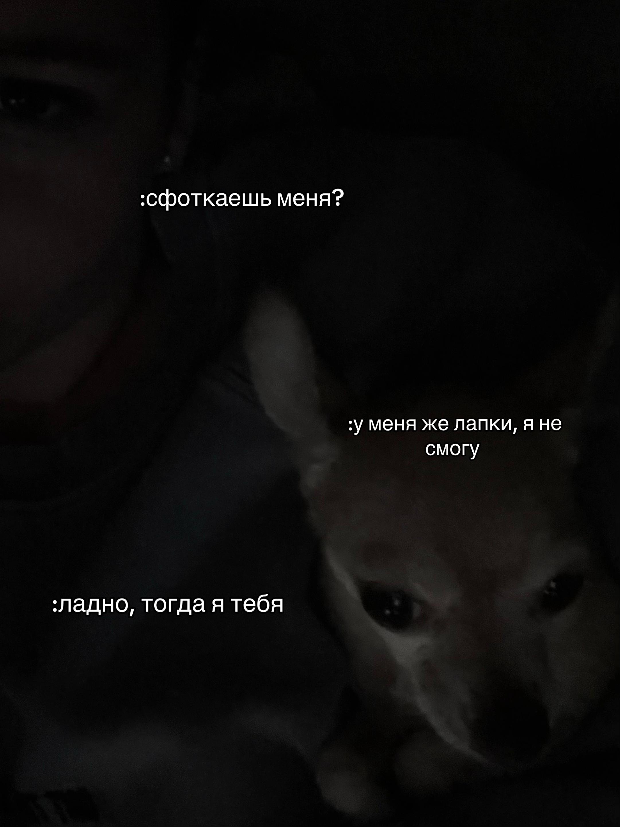 @тгк:vshn🫦