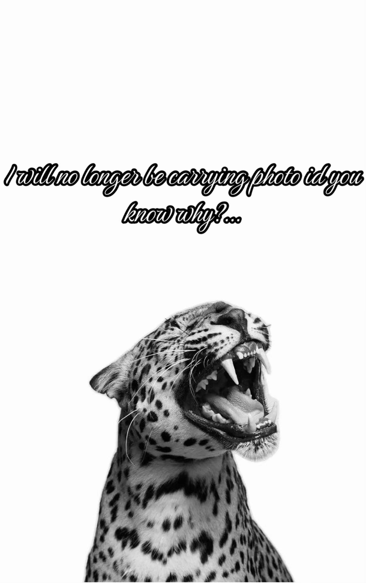 @๐ซ๐ช๐ญ๐ญ๐ฒ๐ฎ ๐๏ธ๐จ๏ธ๐ช๏ธ
