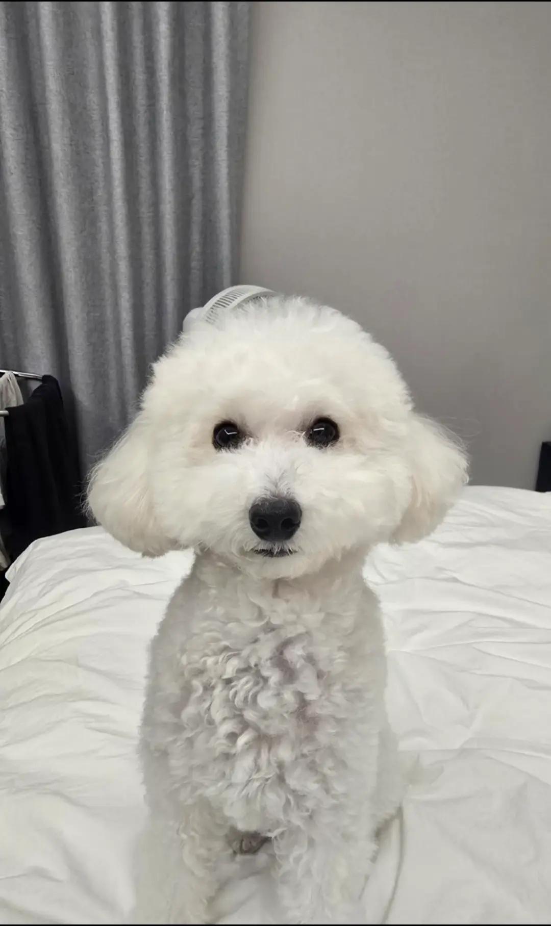 @코우