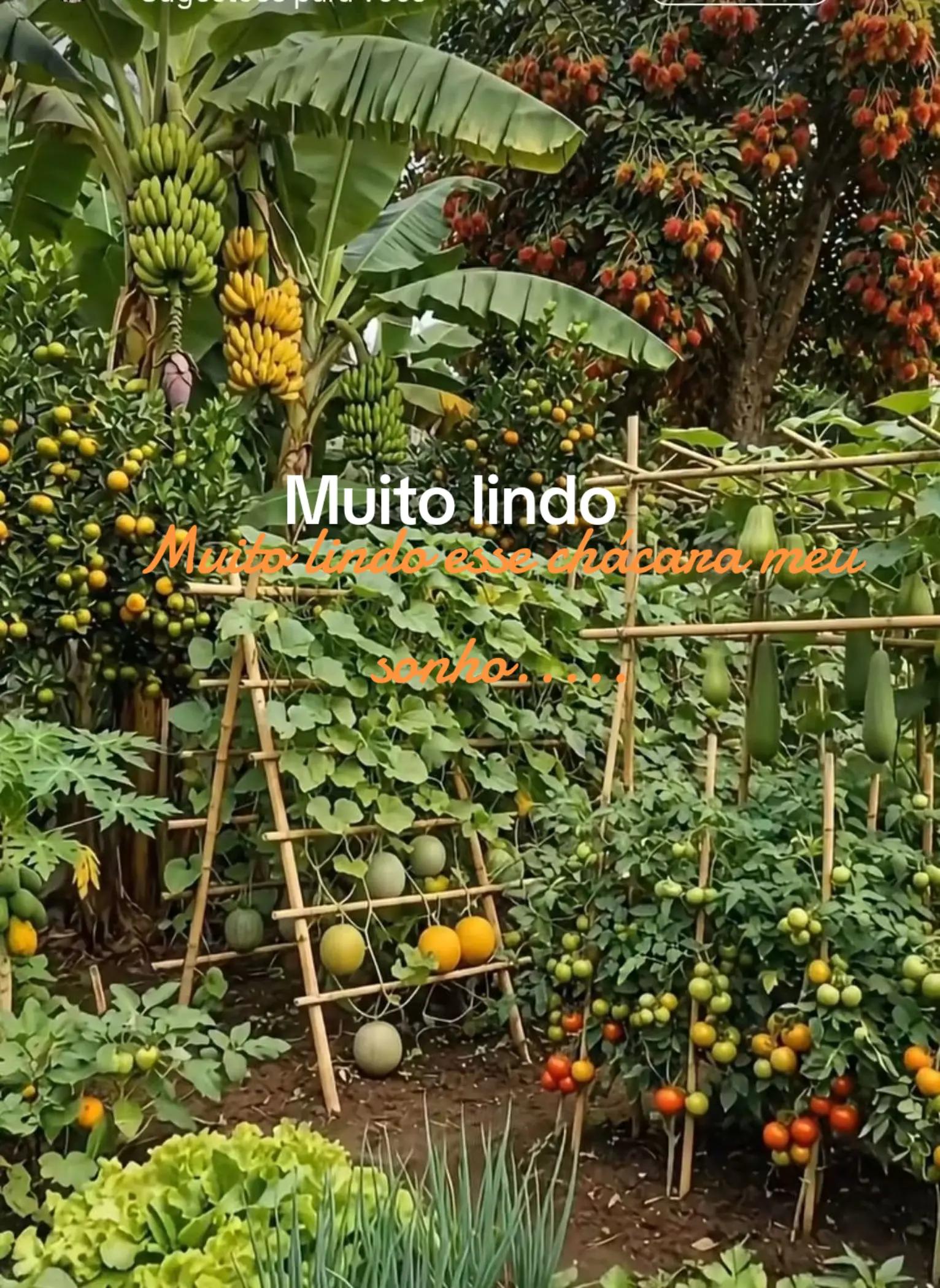 @Luiz Silva