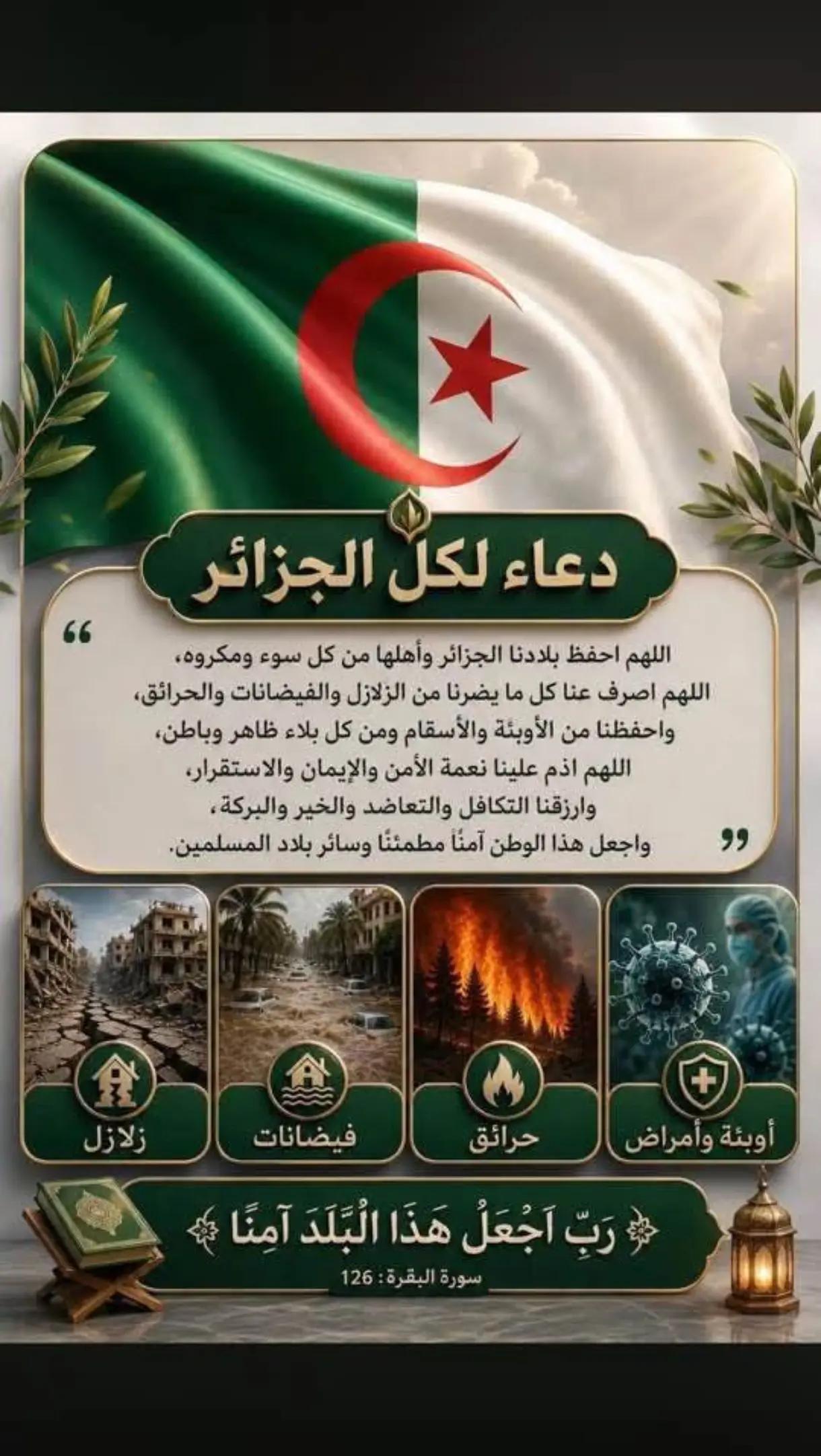 @+ 213 💫power 💪🇩🇿