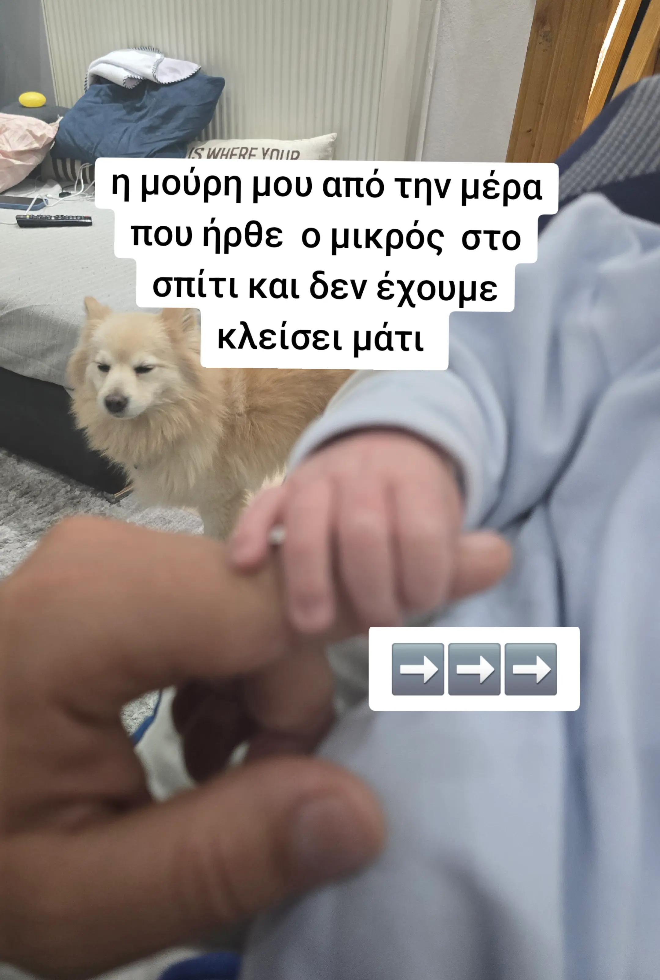 @Fotis Nikou