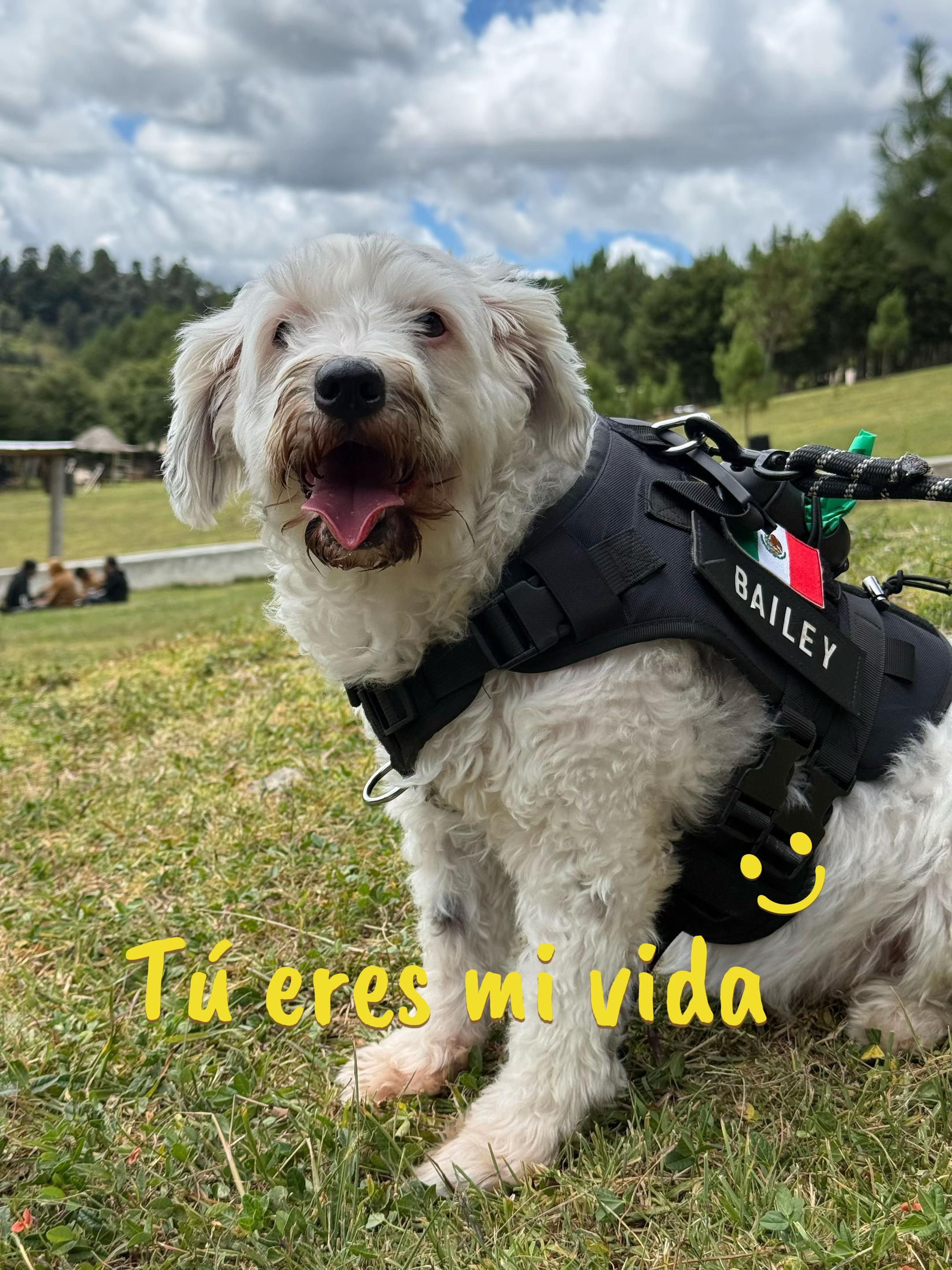 @Jazz G&oacute;mez