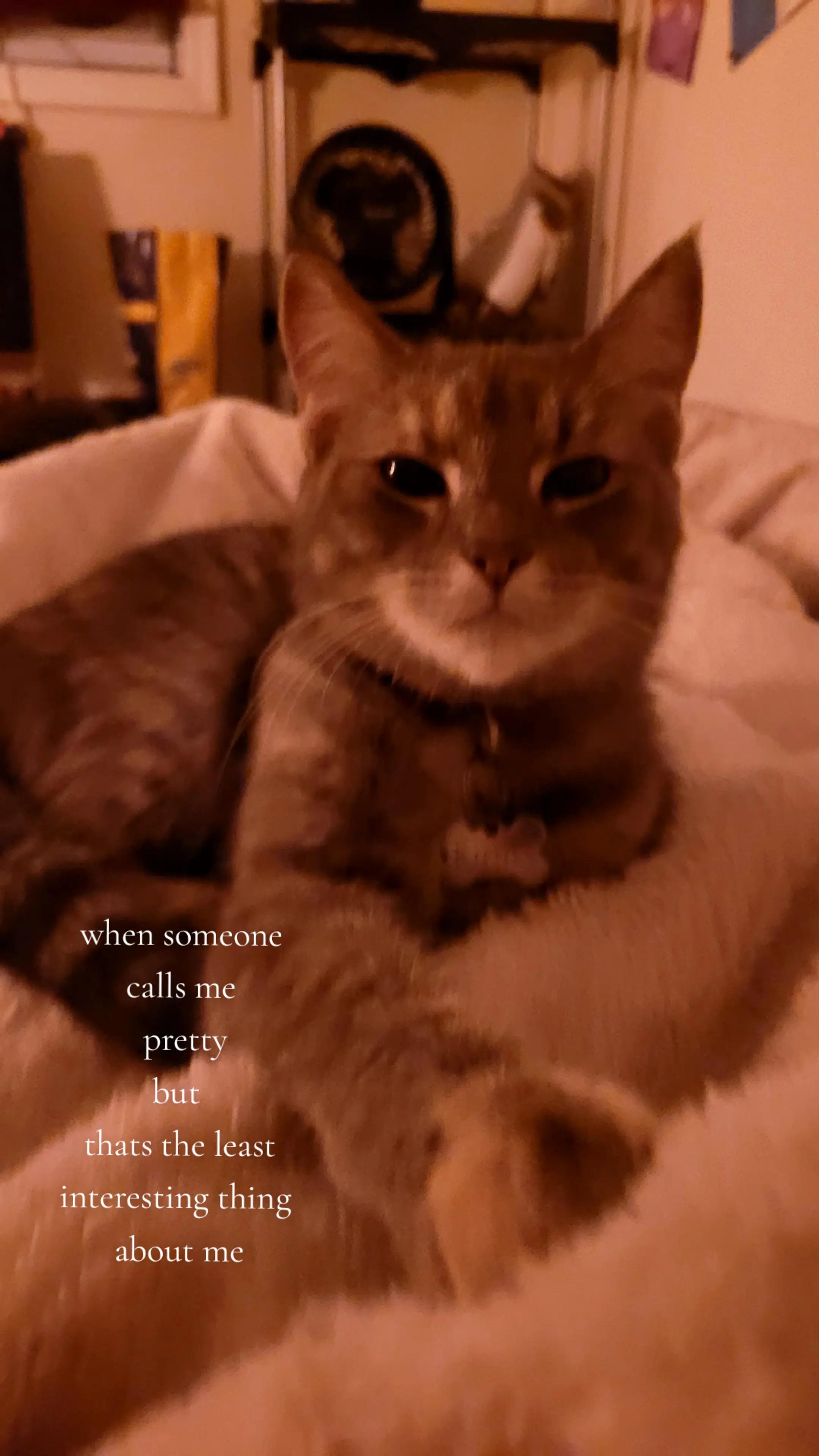 @️