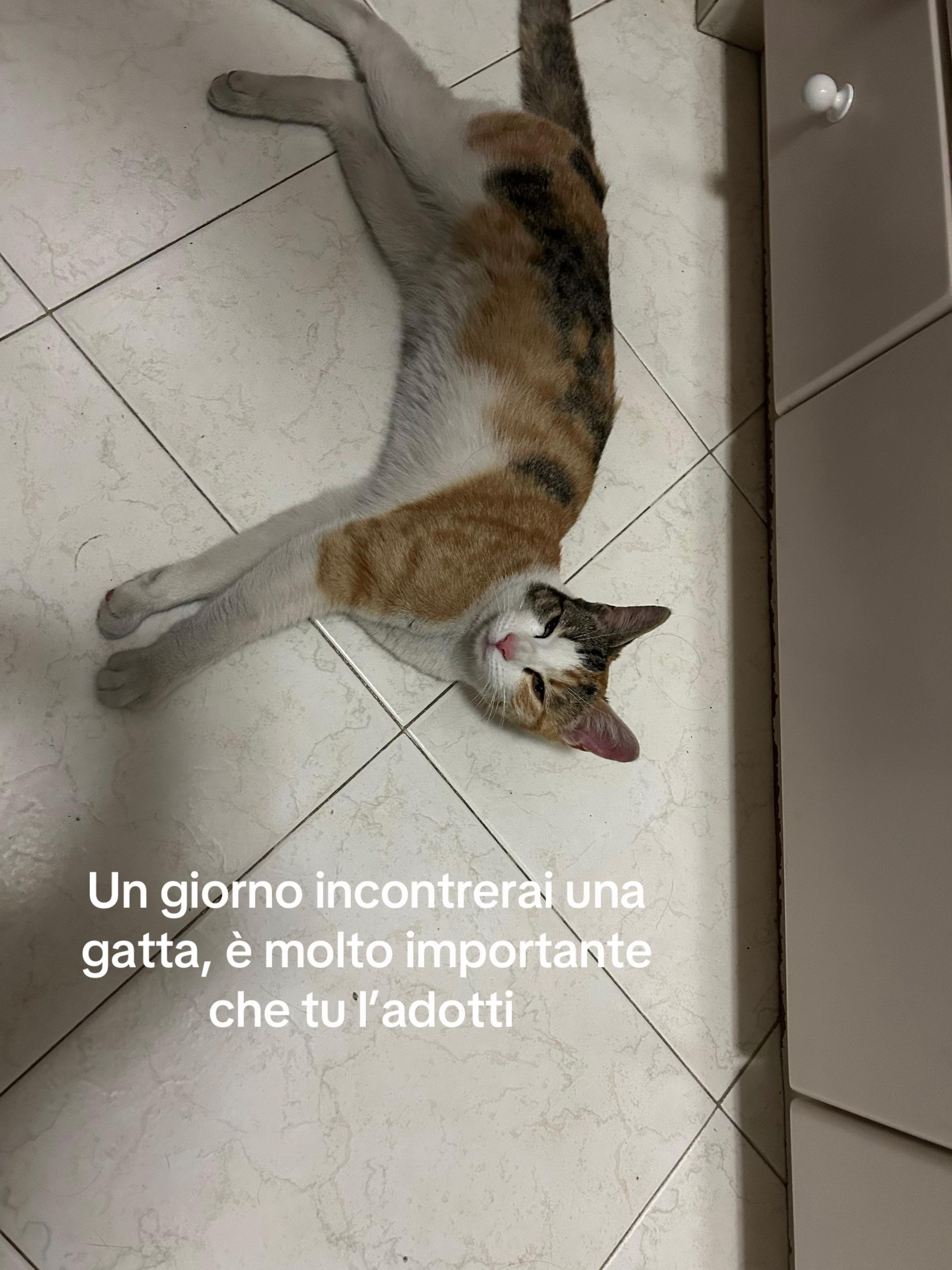 @Elena Stefanelli