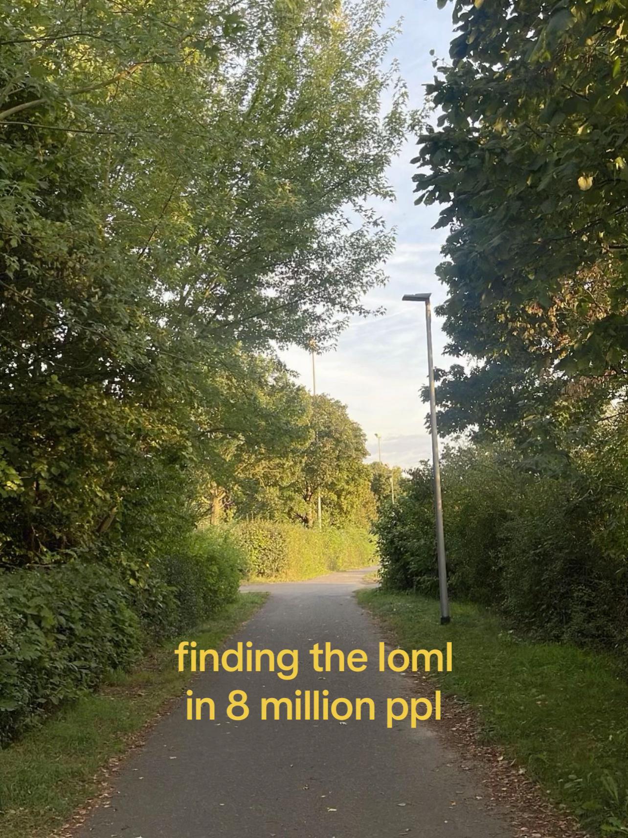@𓆟𓆝𓆜