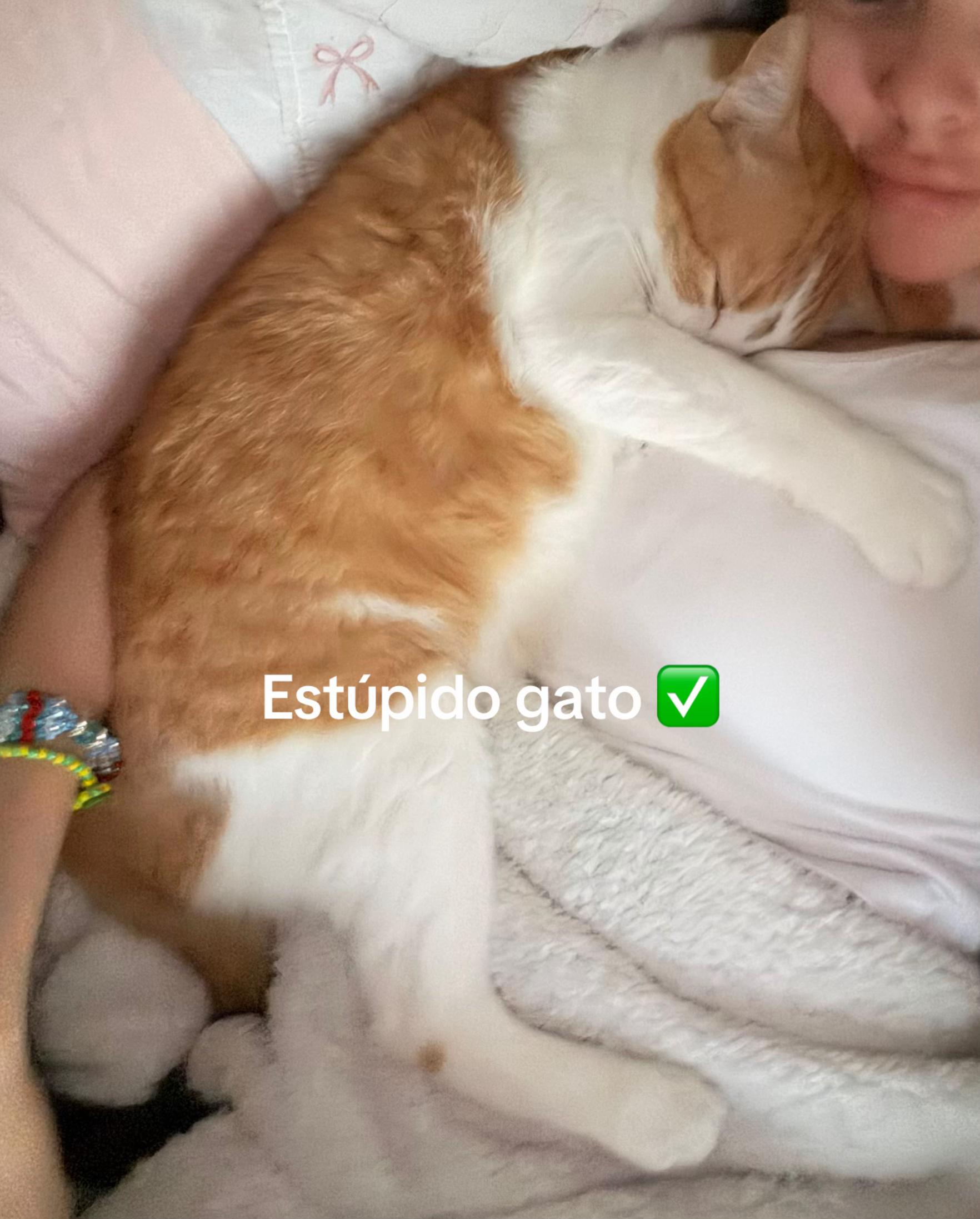 @Samyca_
