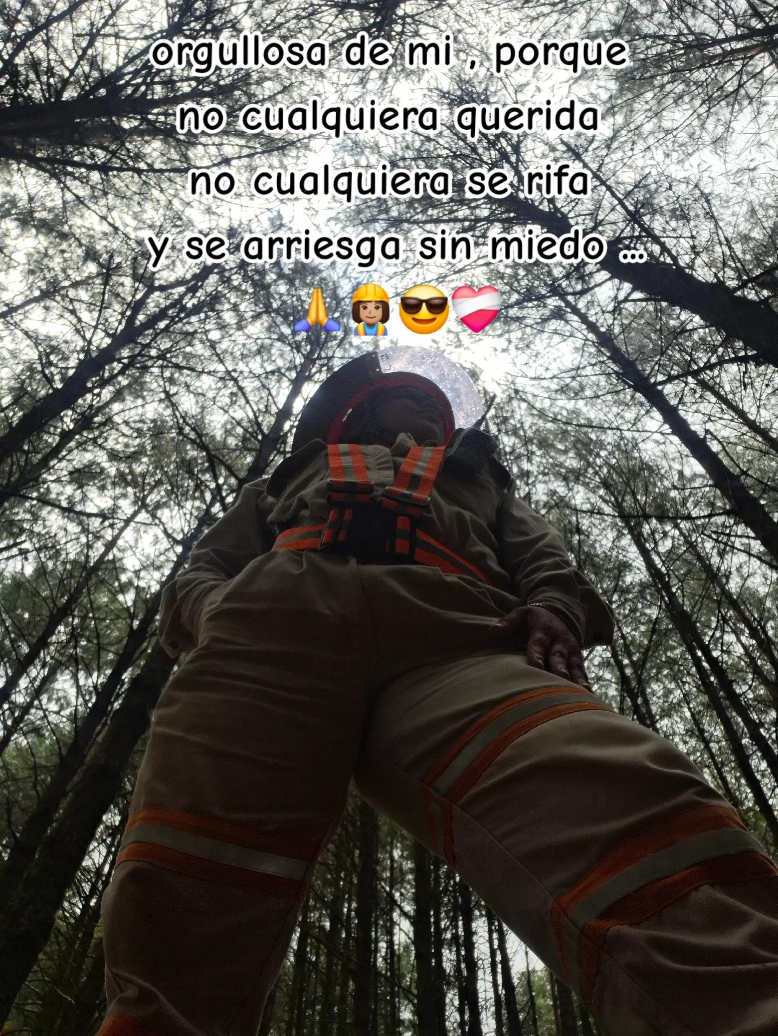 @Fer Zo