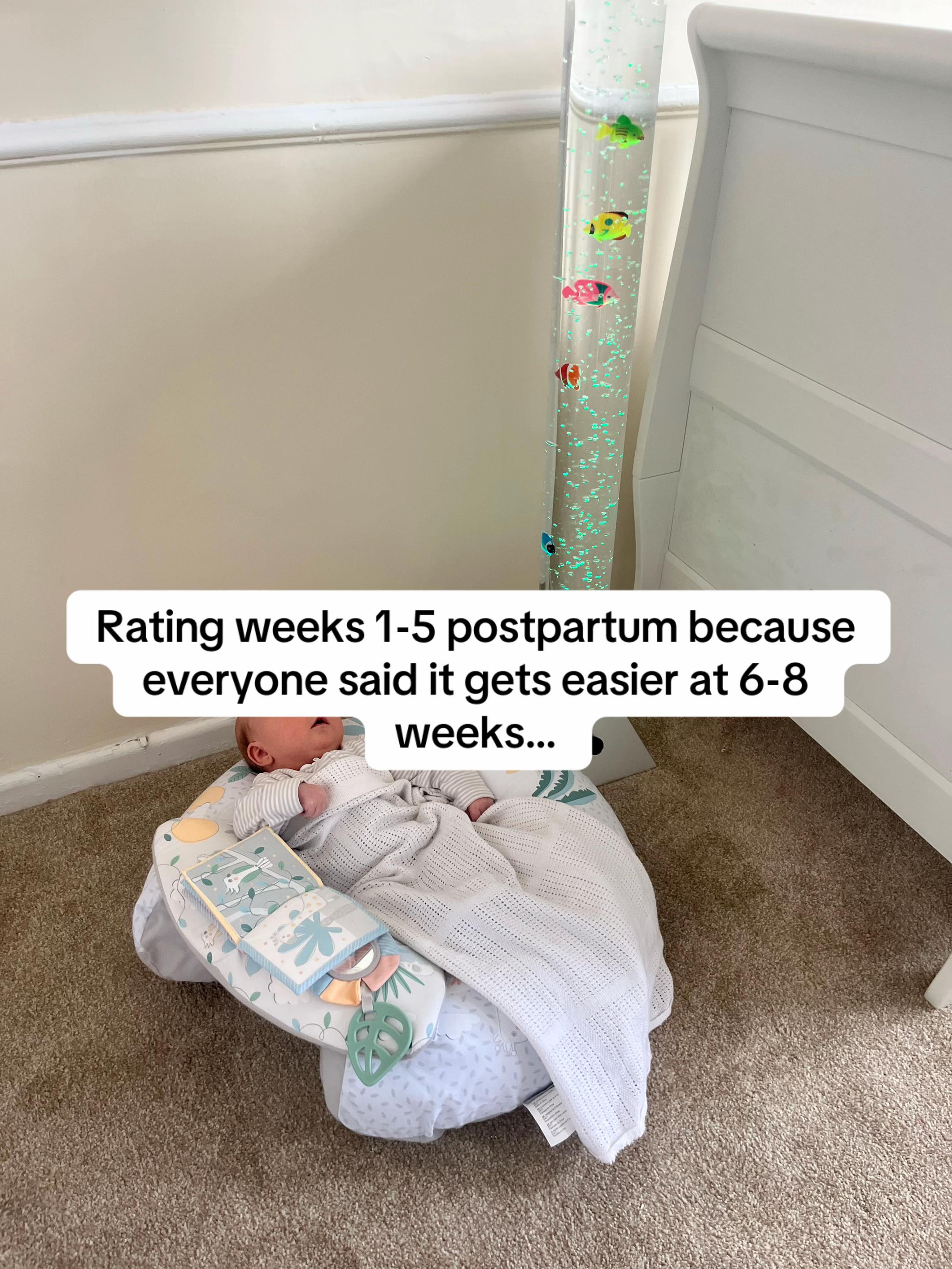 @2dogsandababy