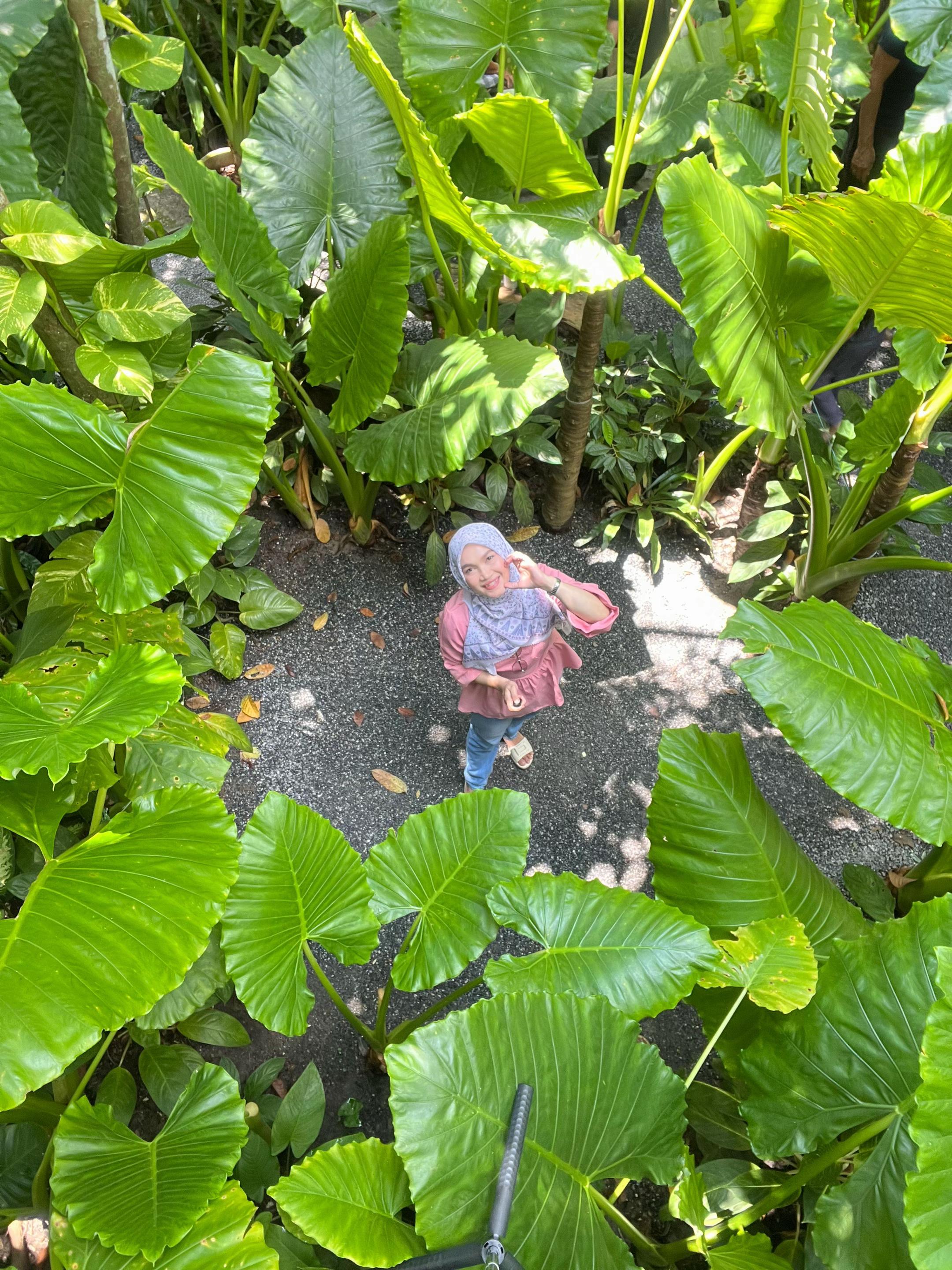 @Rakby Haya