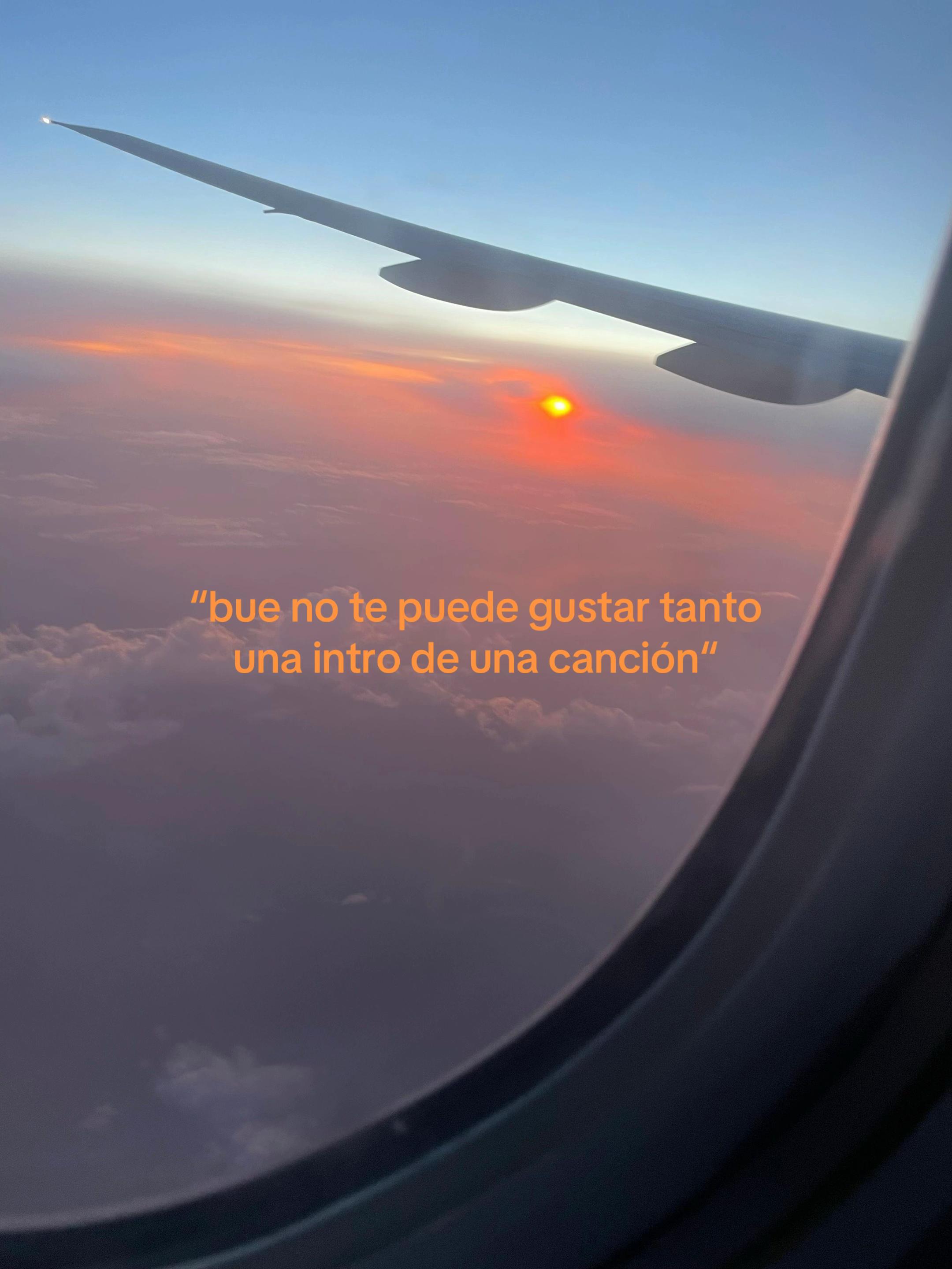 @amadeooo